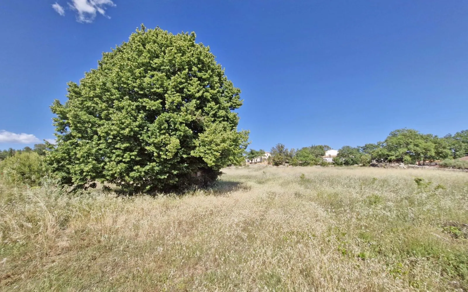 Maison 100 m² avec terrain à SAINT-ANTONIN-DU-VAR (83) à Saint-Antonin-du-Var — photo 2