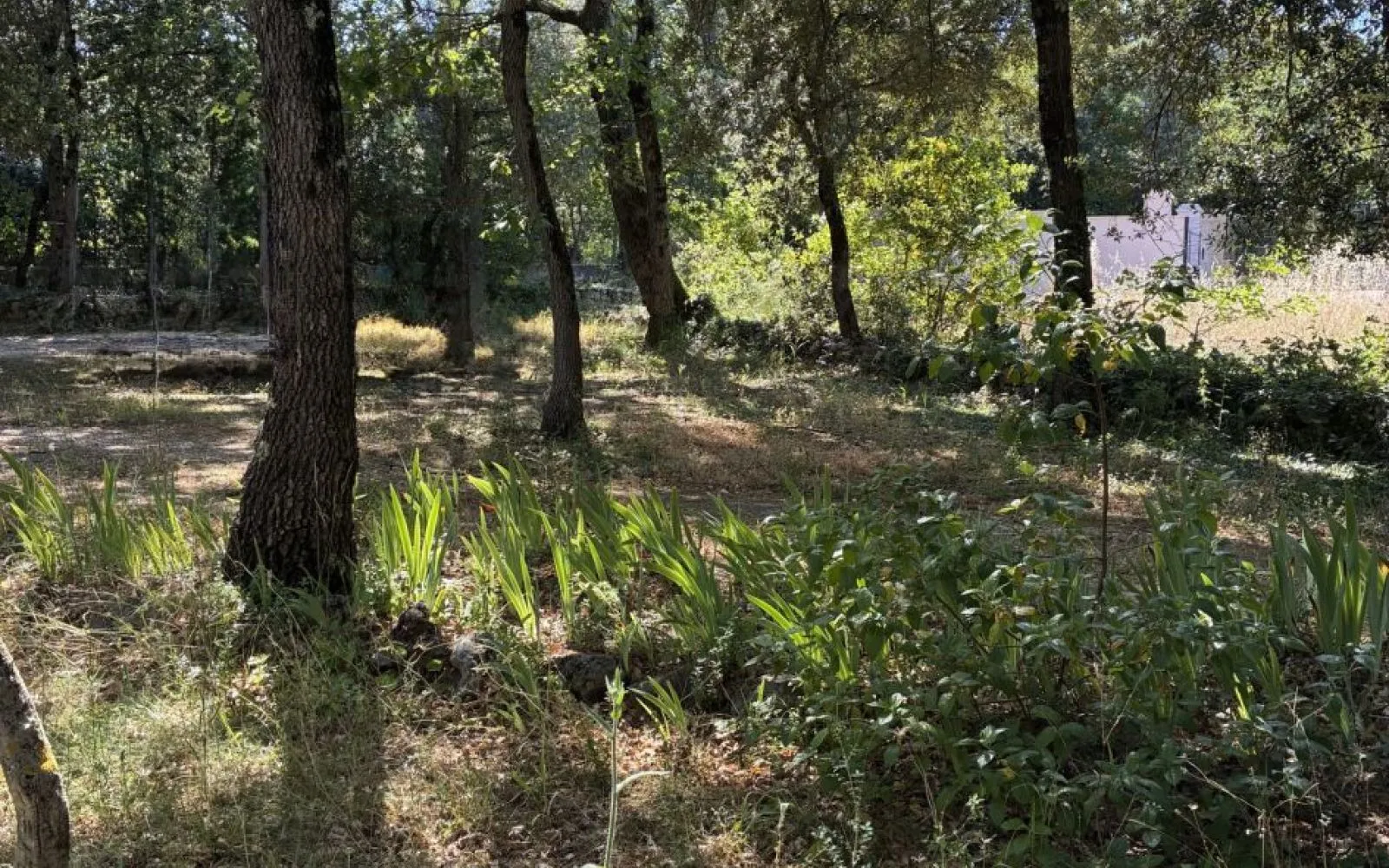 Maison 95 m² avec terrain à GAREOULT (83) à Garéoult — photo 2