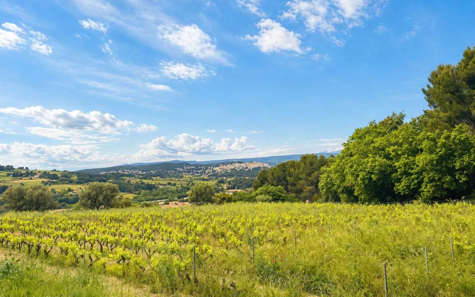 Terrain à bâtir de 522 m² à LE CASTELLET (83) à Le Castellet — photo 2
