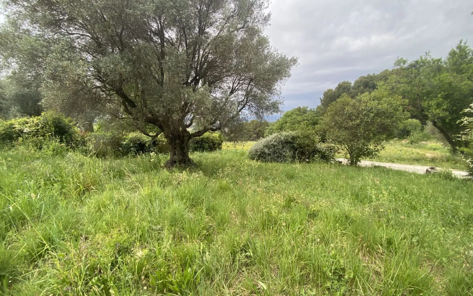 Terrain à bâtir de 522 m² à LE CASTELLET (83) à Le Castellet — photo 3