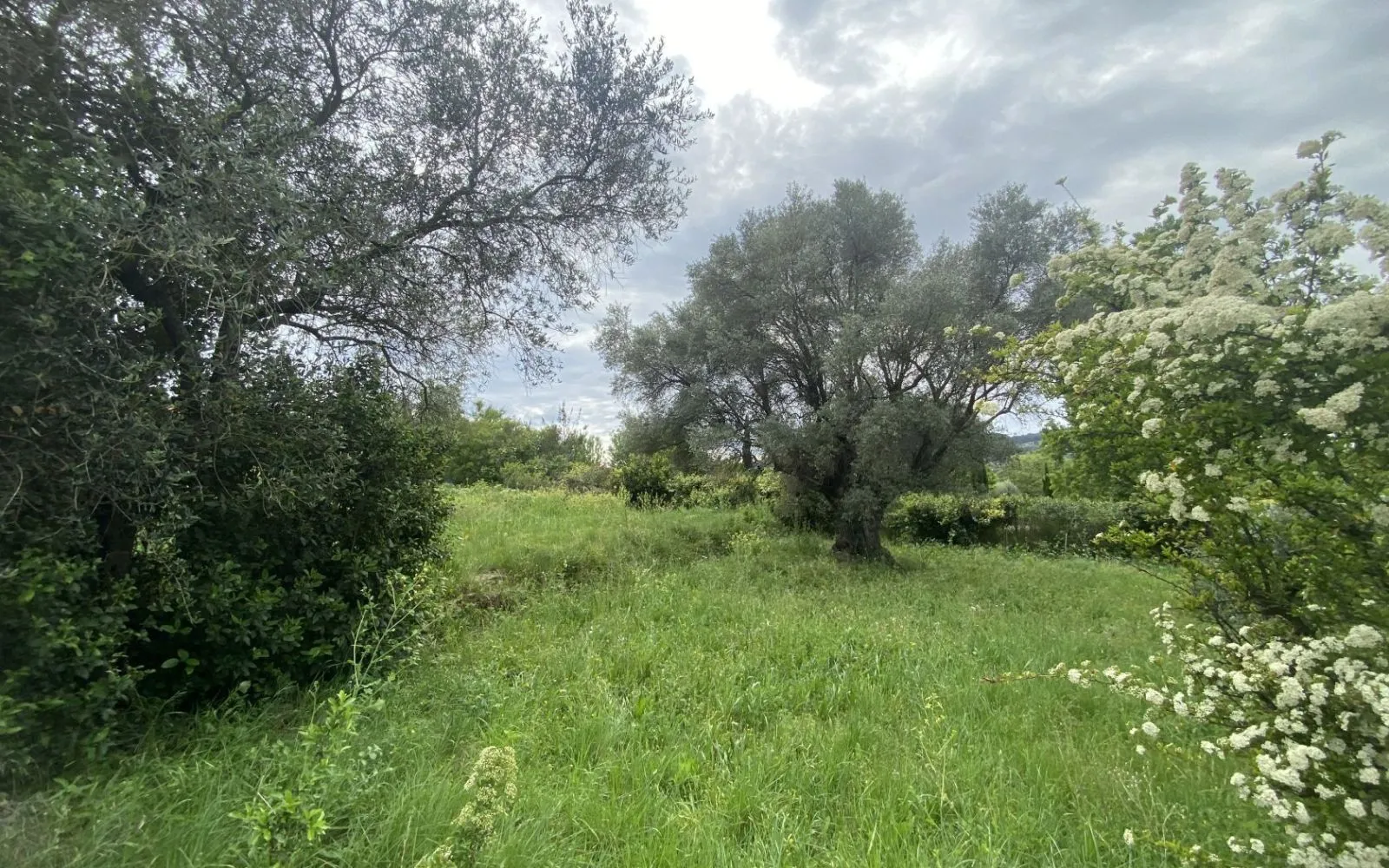 Terrain à bâtir de 522 m² à LE CASTELLET (83) à Le Castellet — photo 4
