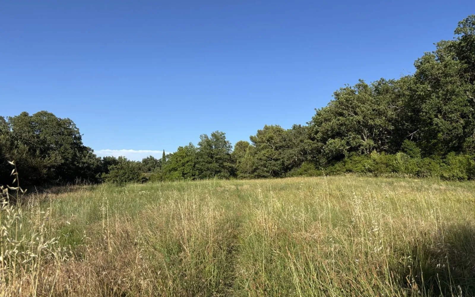 Maison 95 m² avec terrain à ALLEINS (13) à Alleins — photo 5