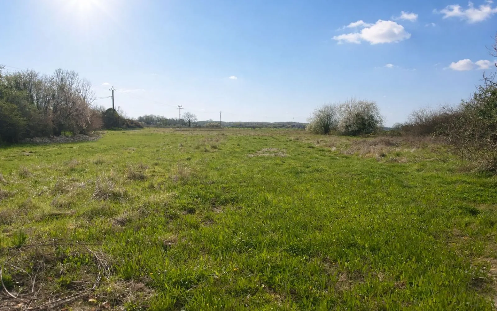 Projet de construction d'une maison 125 m² avec terrain à LABASTIDE-DU-TEMPLE (82) au prix de 269250€. à Labastide-du-Temple — photo 3