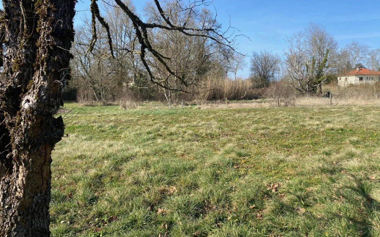 Projet de construction d'une maison 93 m² avec terrain à SEPTFONDS (82) au prix de 175700€. à Septfonds — photo 3