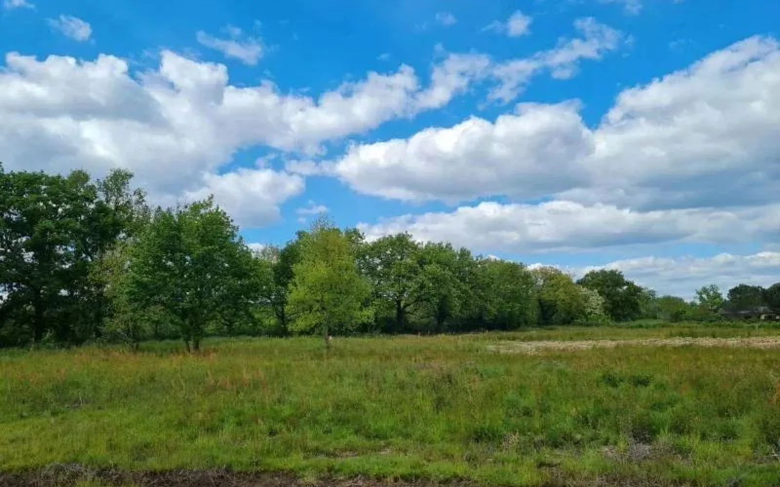 Projet de construction d'une maison 99 m² avec terrain à MONTAUBAN (82) au prix de 228300€. à Montauban — photo 12