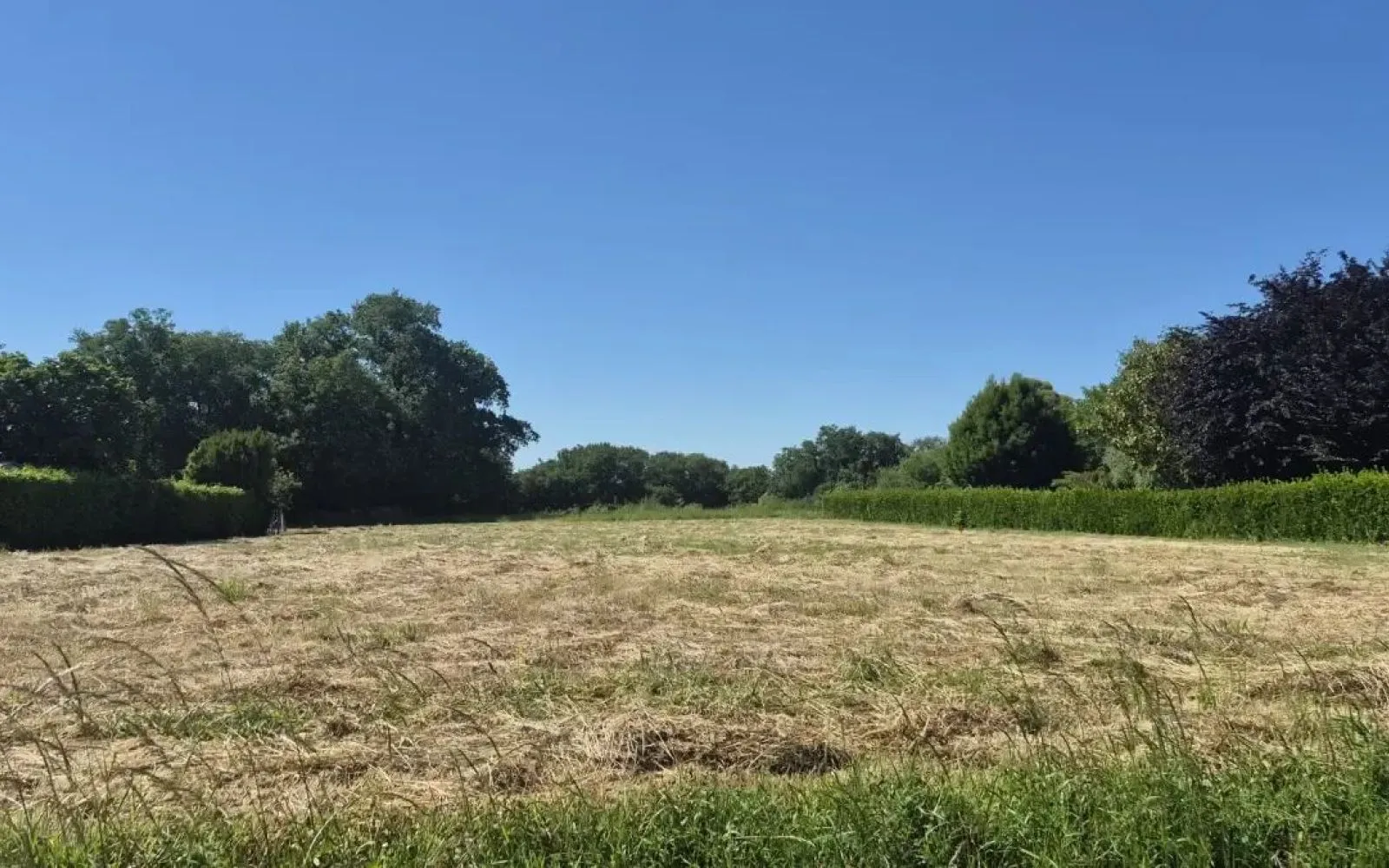 Projet de construction d'une maison 153 m² avec terrain à PUYDANIEL (31) au prix de 439352€. à Puydaniel — photo 5
