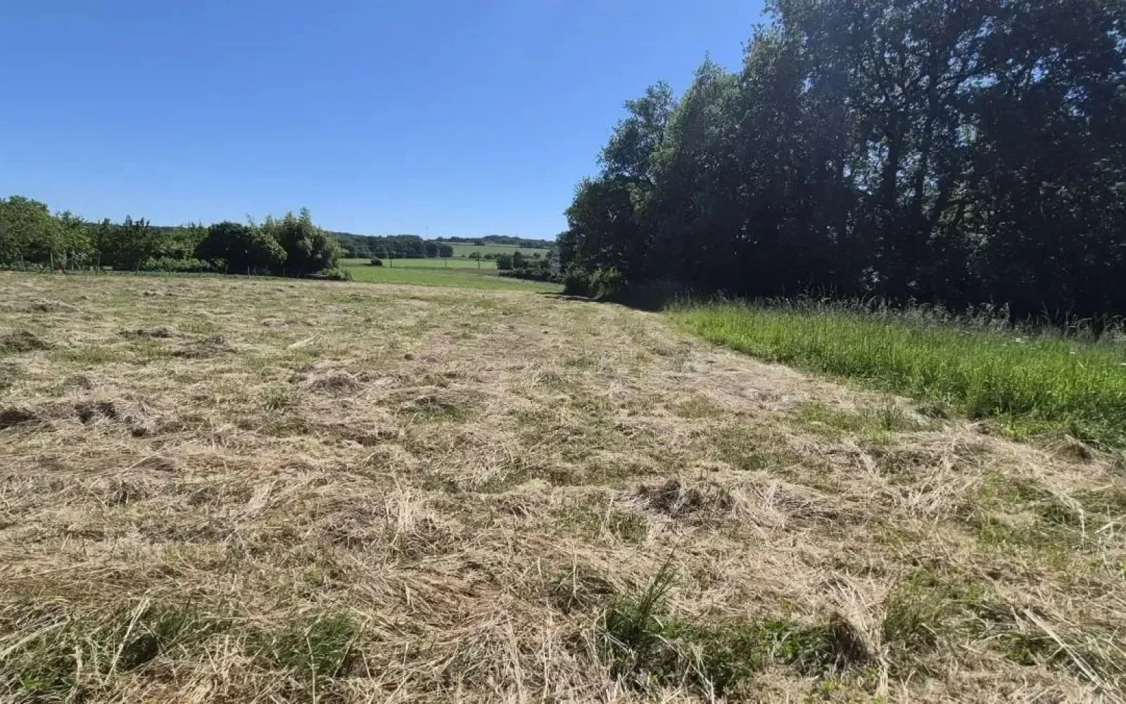 Projet de construction d'une maison 153 m² avec terrain à PUYDANIEL (31) au prix de 439352€. à Puydaniel — photo 6