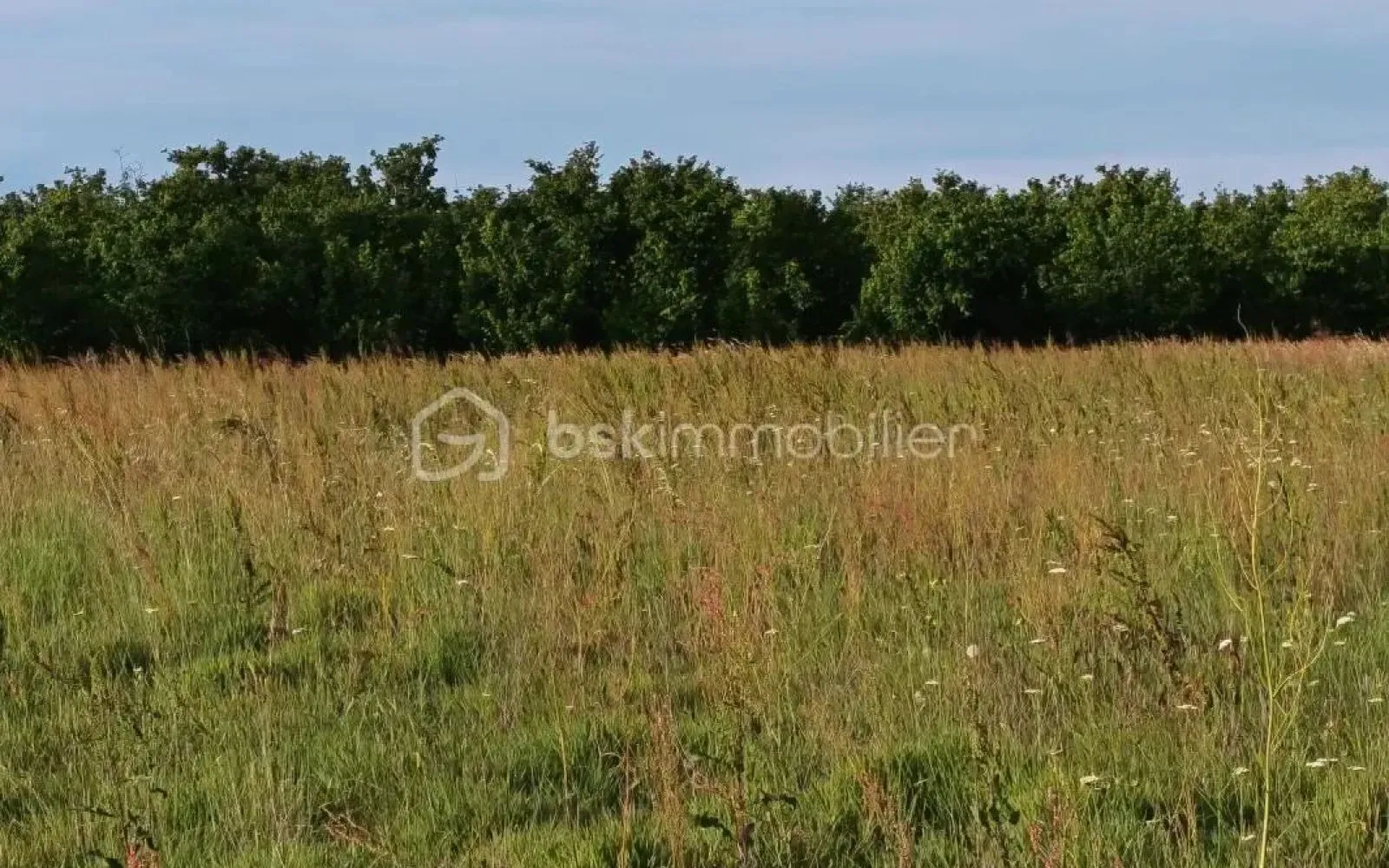 Projet de construction d'une maison 128 m² avec terrain à LAVIT (82) au prix de 366938€. à Lavit — photo 8