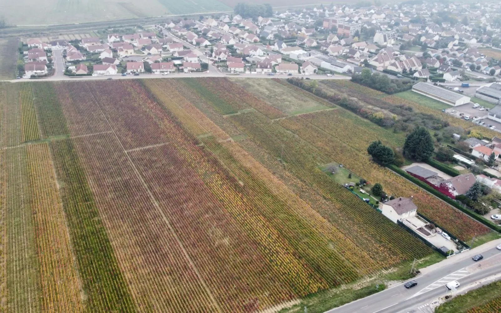 Terrain de 394 m² à NUITS-SAINT-GEORGES (COTE-D'OR) à Nuits-Saint-Georges — photo 2