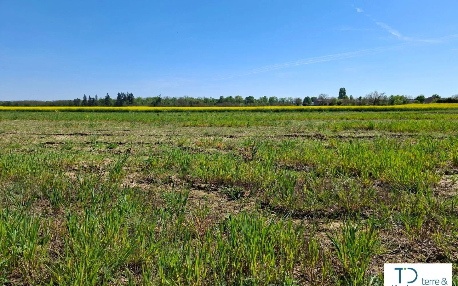 Terrain de 424 m² à HABSHEIM (HAUT-RHIN) à Habsheim — photo 3