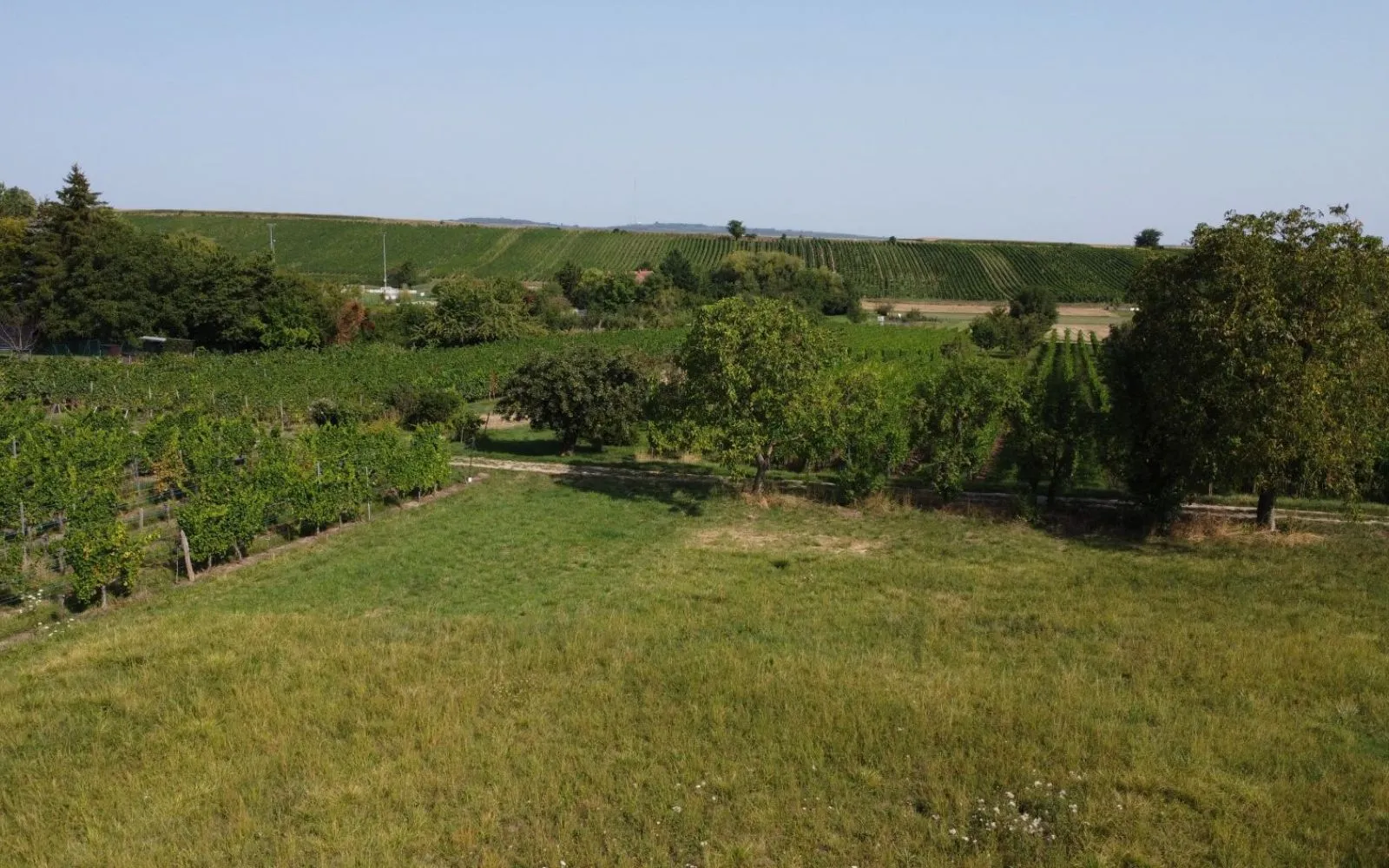 Terrain de 486 m² à DAHLENHEIM (BAS-RHIN) à Dahlenheim — photo 3