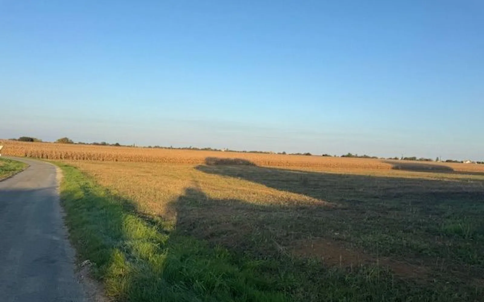 Projet de construction d'une maison 60 m² avec terrain à BALANZAC (17) à Balanzac — photo 5