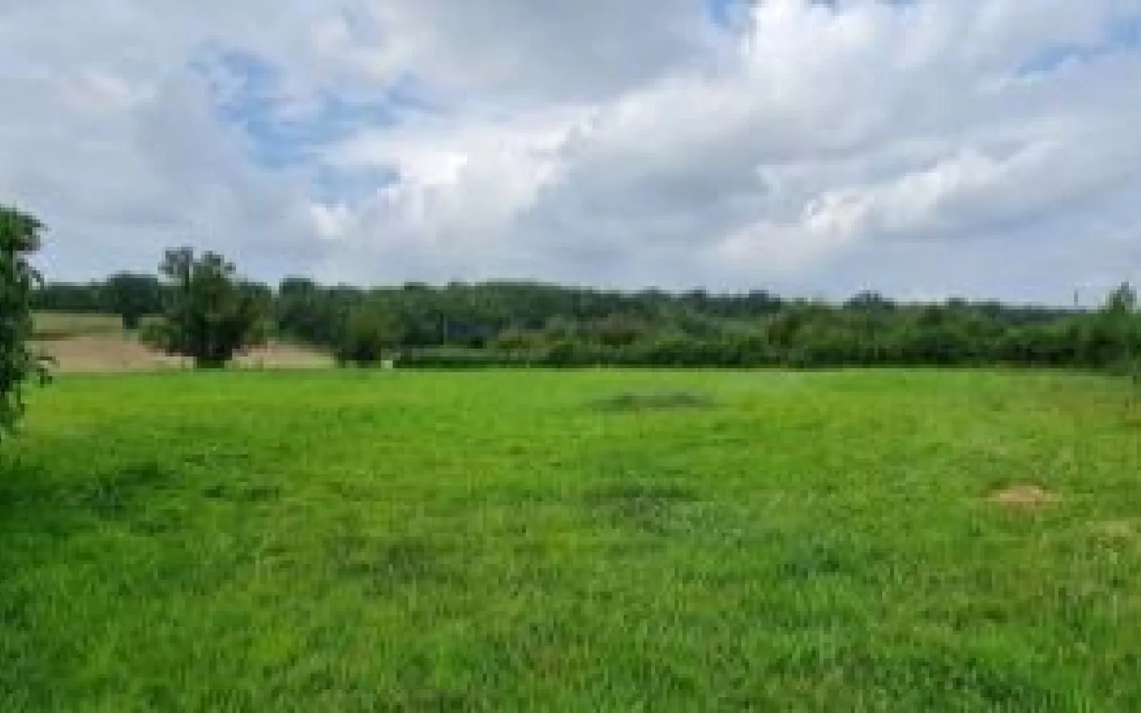 Projet de construction d'une maison 60 m² avec terrain à MEURSAC (17) à Meursac — photo 4