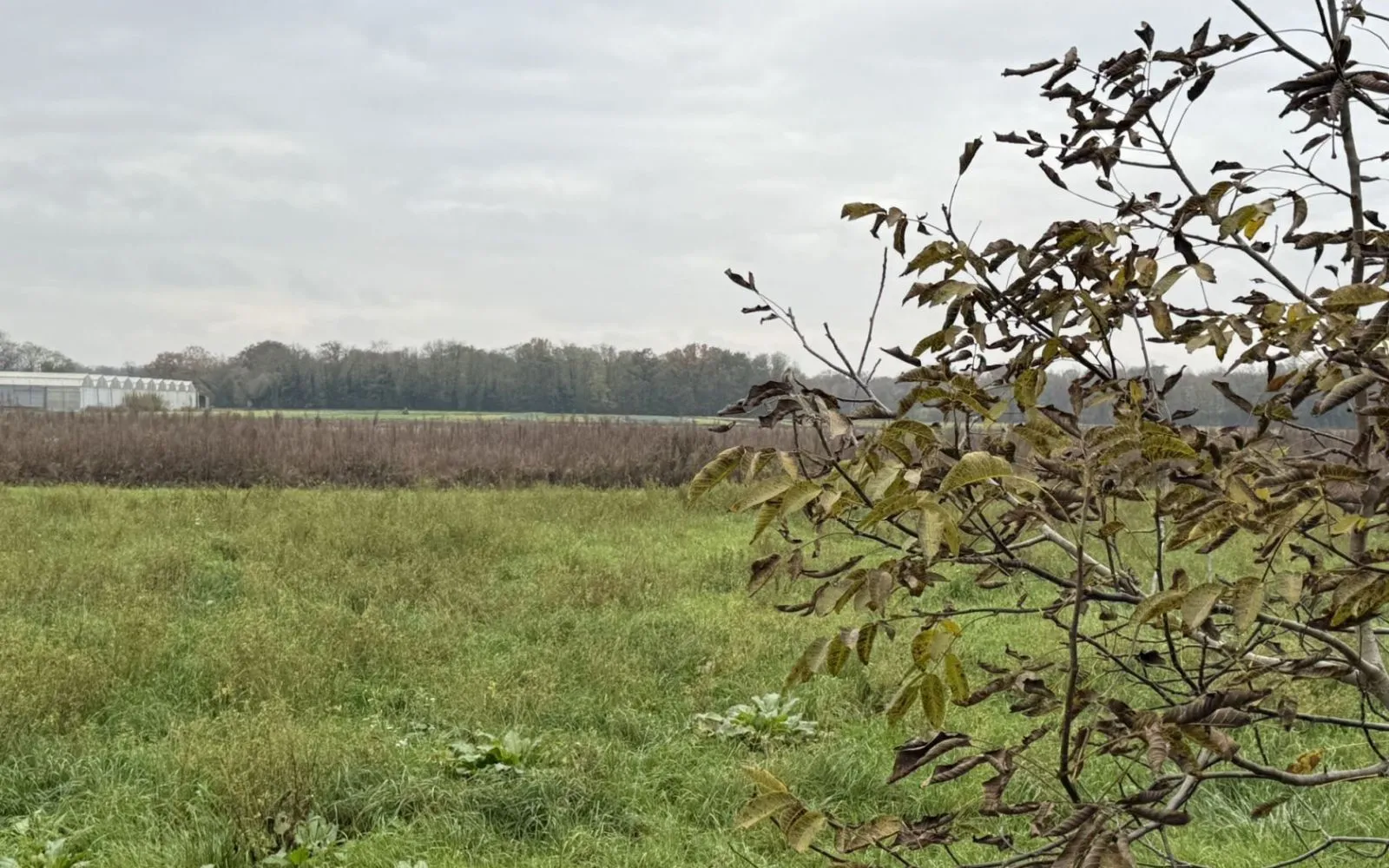 Projet de construction d'une maison 76 m² avec terrain à BINDERNHEIM (67) à Bindernheim — photo 5