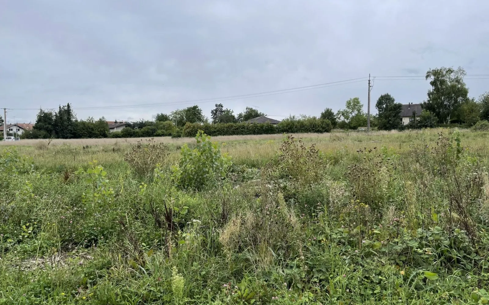 Projet de construction d'une maison 119 m² avec terrain à REININGUE (68) à Reiningue — photo 8