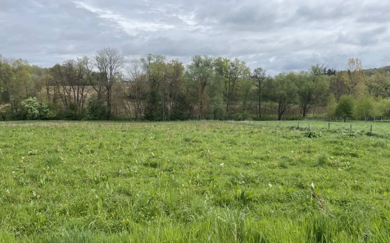 Projet de construction d'une maison 103 m² avec terrain à RUEDERBACH (68) à Ruederbach — photo 6