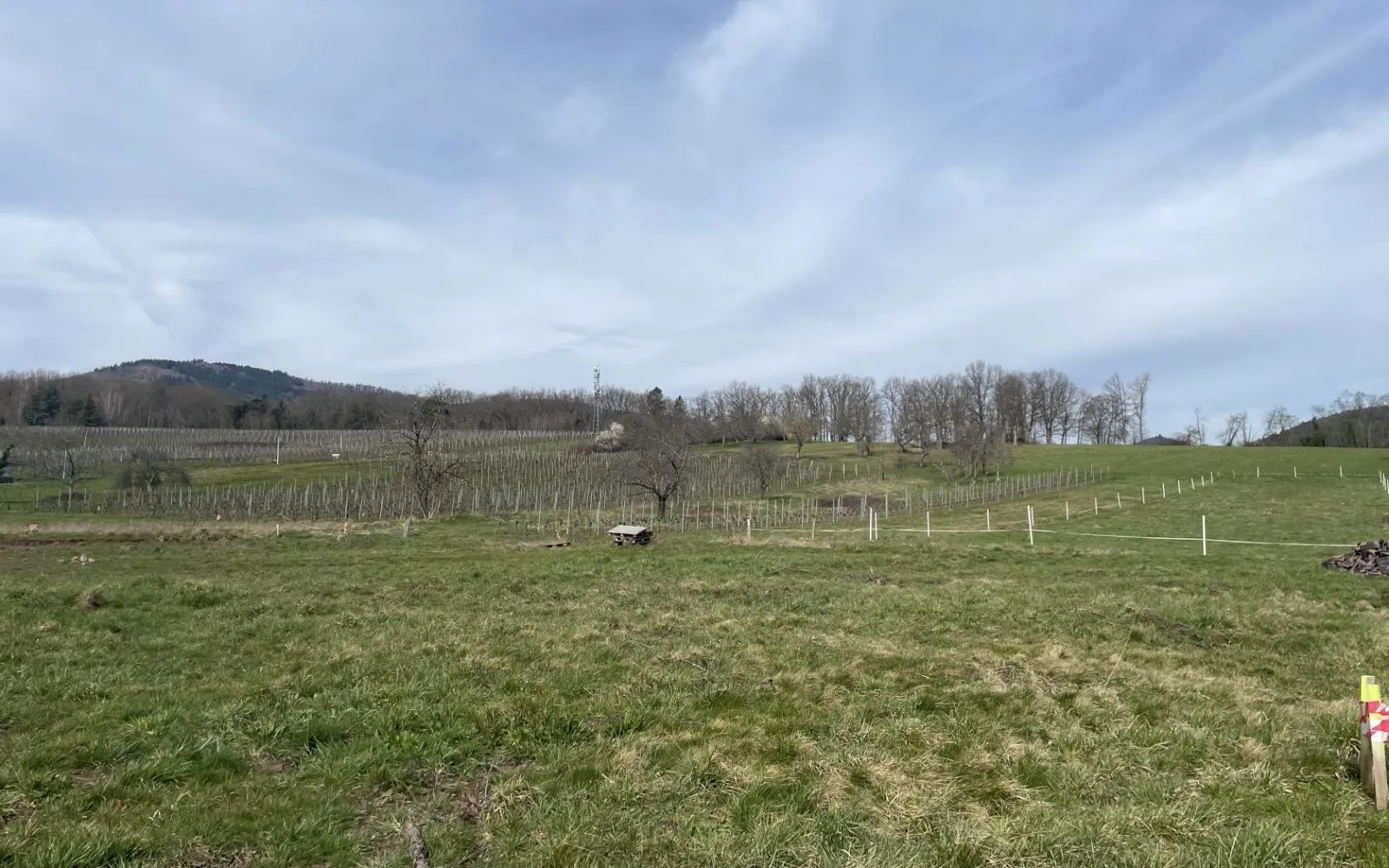 Projet de construction d'une maison 76 m² avec terrain à WUENHEIM (68) à Wuenheim — photo 5