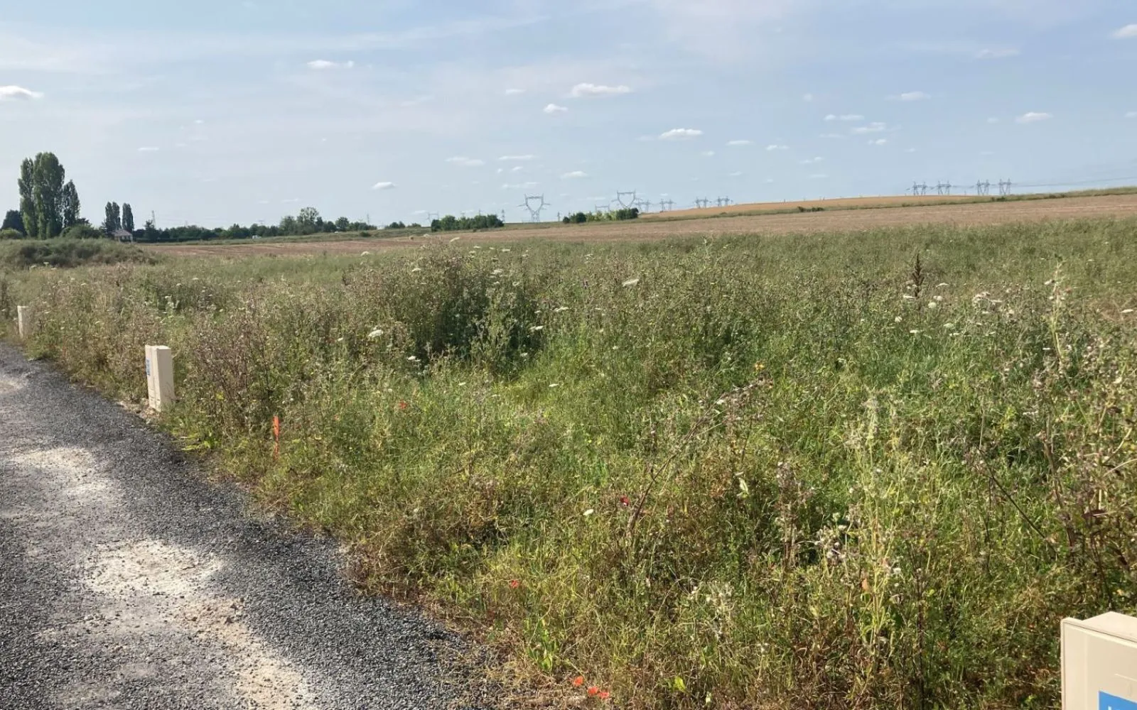 Projet de construction d'une maison 91 m² avec terrain à CHANCEAUX-SUR-CHOISILLE (37) à Chanceaux-sur-Choisille — photo 4