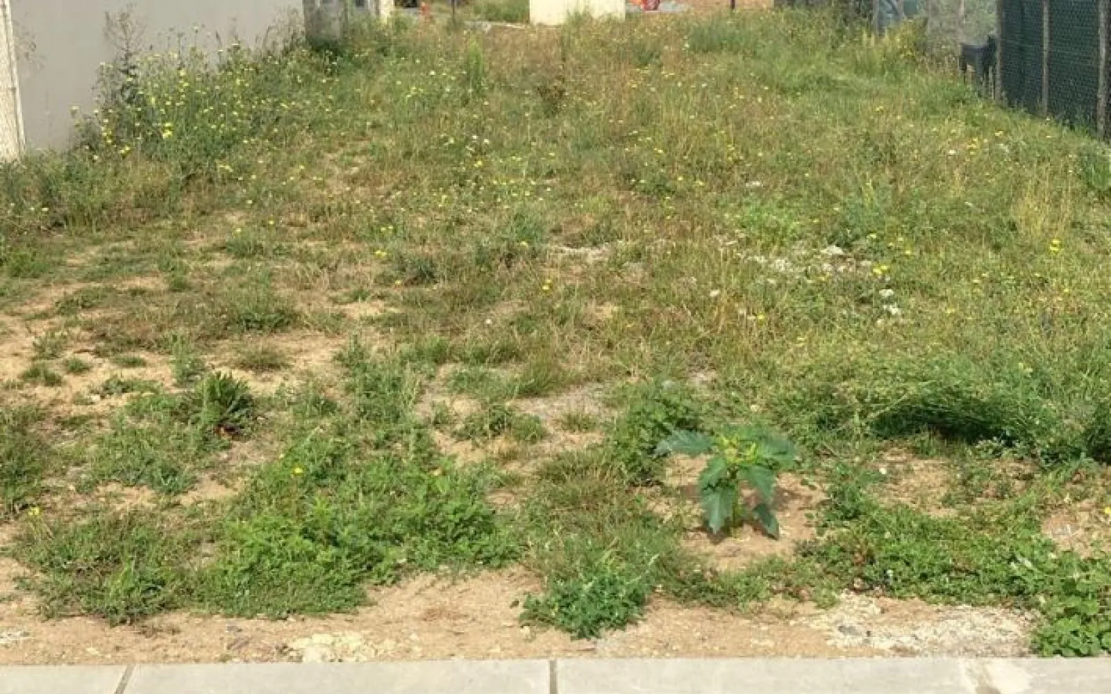Terrain à bâtir de 271 m² à CHEILLE (37) à Cheillé — photo 1