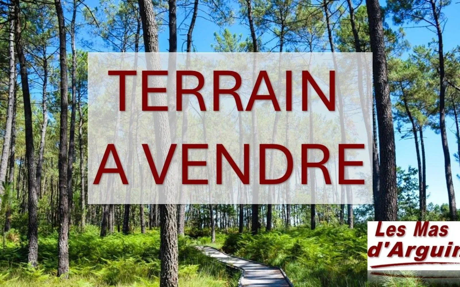 Projet de construction d'une maison 95 m² avec terrain à ARCACHON (33) à Arcachon — photo 8