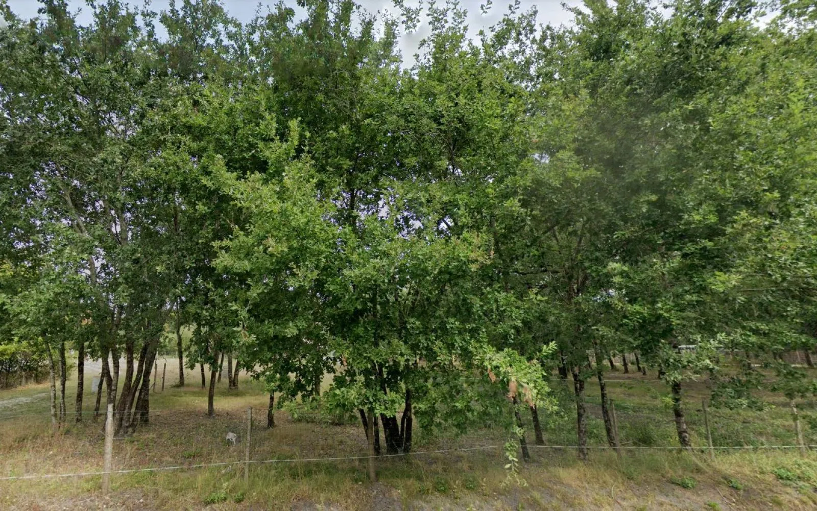 Terrain à bâtir de 808 m² à GUJAN-MESTRAS (33) à Gujan-Mestras — photo 1