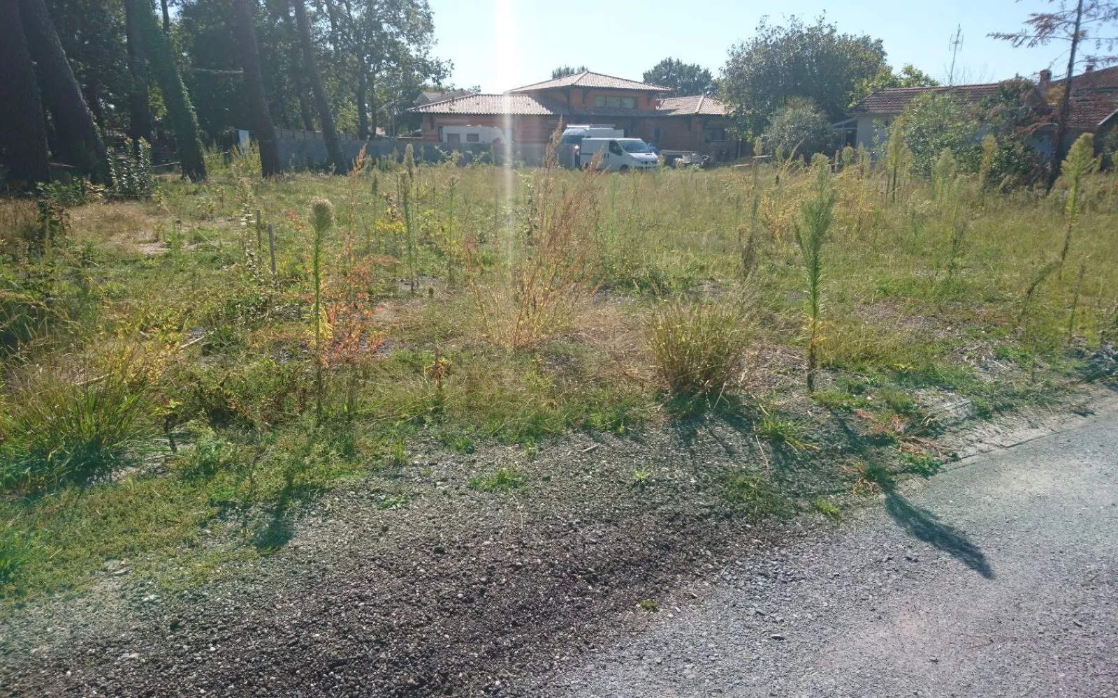 Terrain à bâtir de 560 m² à SALLES (33) à Salles — photo 1