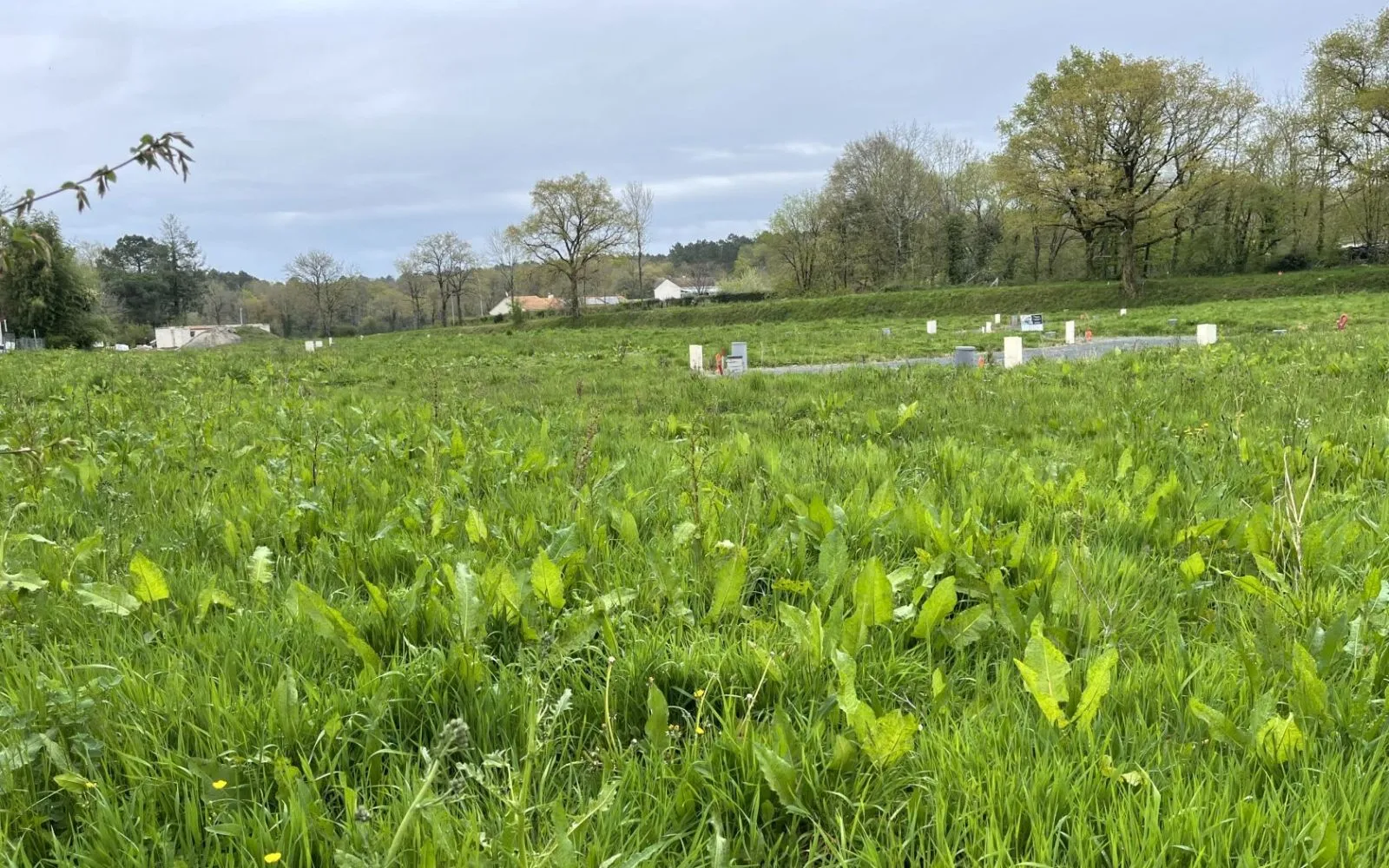 Projet de construction d'une maison 65 m² avec terrain à BOURNEAU (85) à Bourneau — photo 4