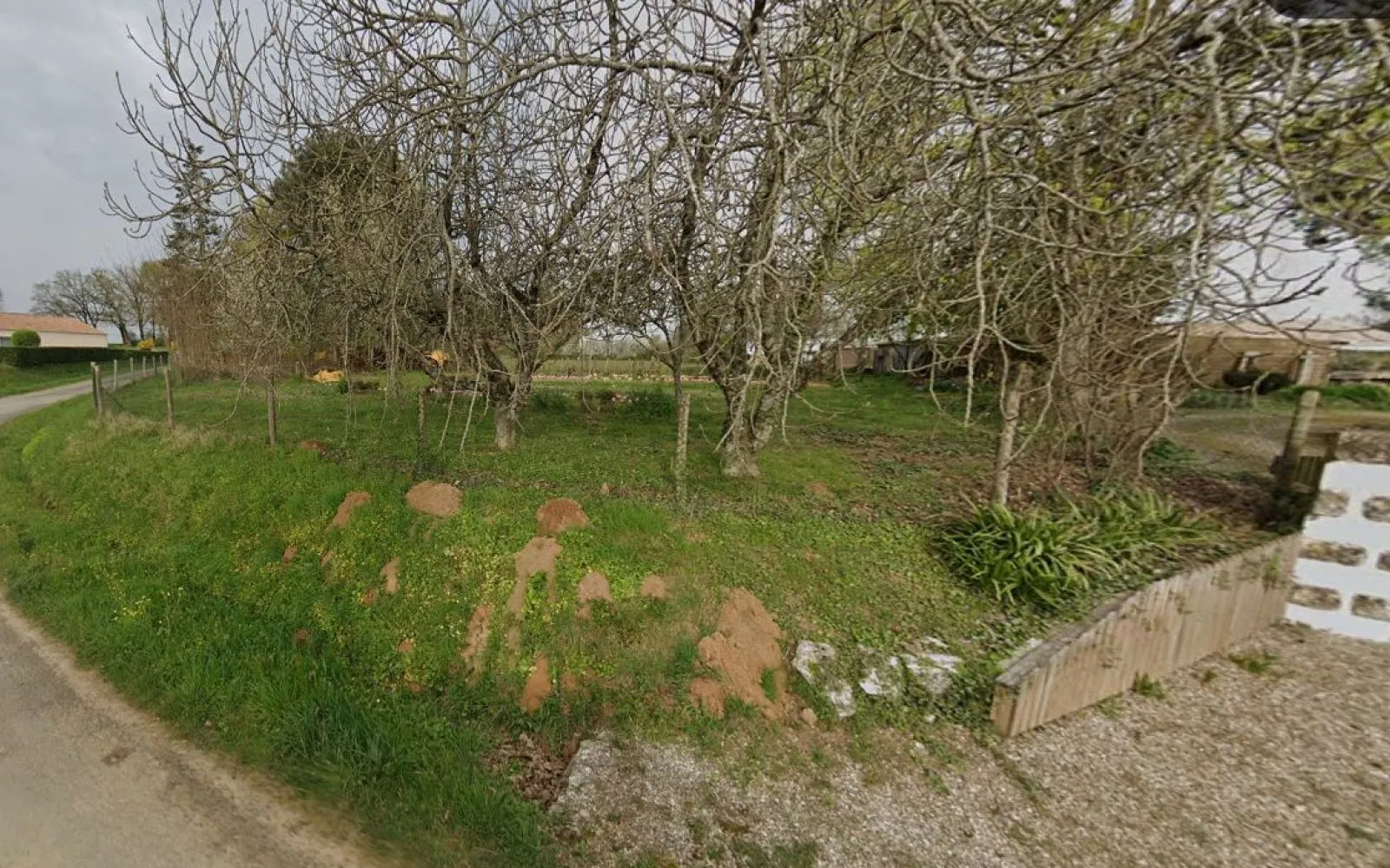 Terrain à bâtir de 1200 m² à SAINT-MICHEL-LE-CLOUCQ (85) à Saint-Michel-le-Cloucq — photo 1
