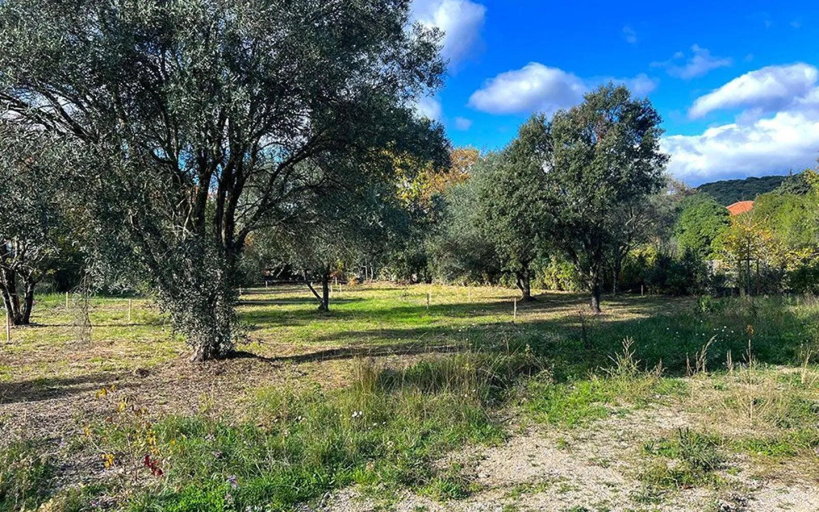 Projet de construction d'une maison 88.14 m² avec terrain à LOUPIAN (34) à Loupian — photo 4