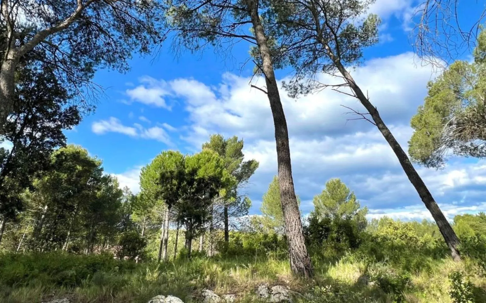 Projet de construction d'une maison 81.6 m² avec terrain à GUZARGUES (34) à Guzargues — photo 4
