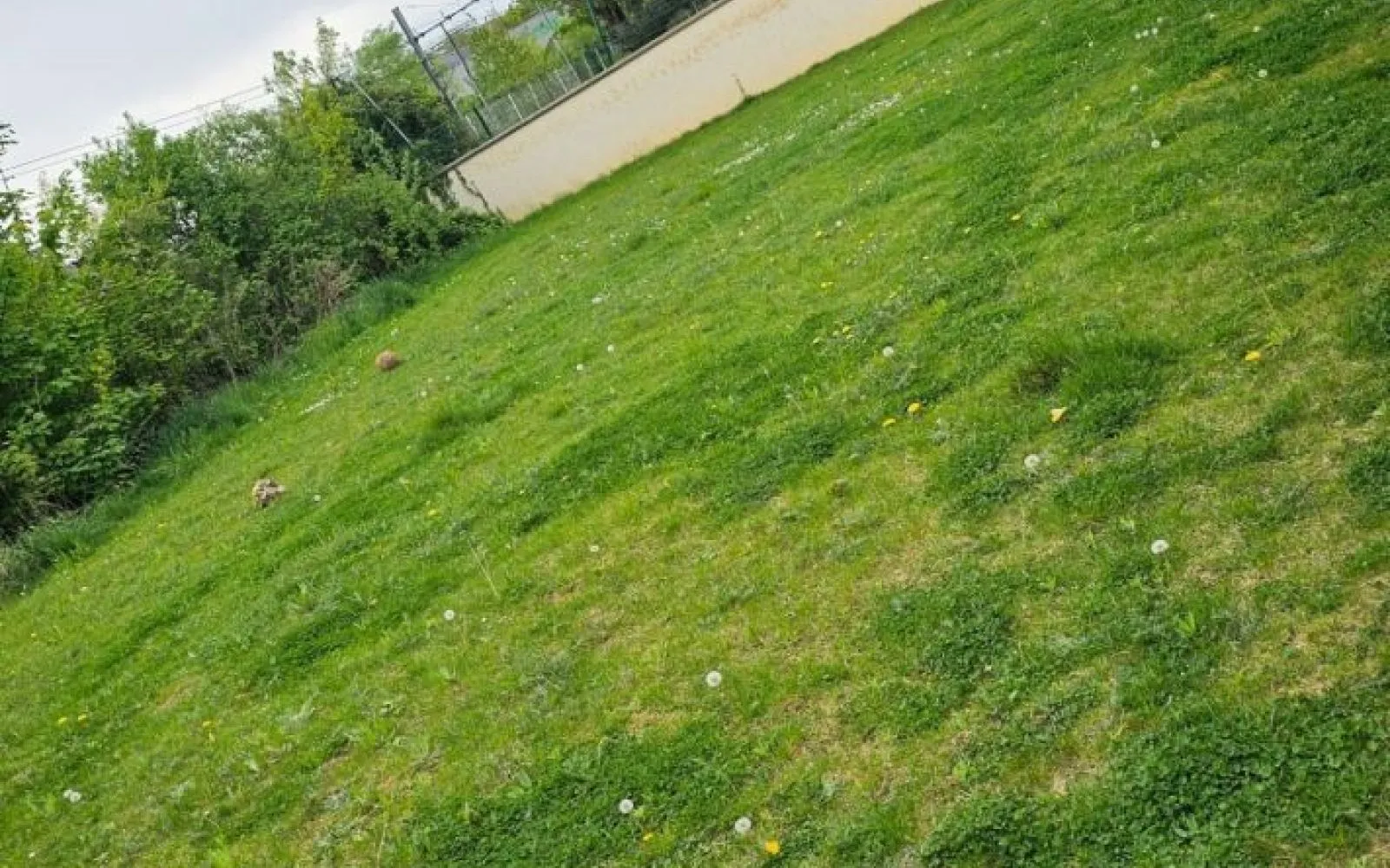 Projet de construction d'une maison 120 m² avec terrain à NOISY-LE-GRAND (93) à Noisy-le-Grand — photo 2