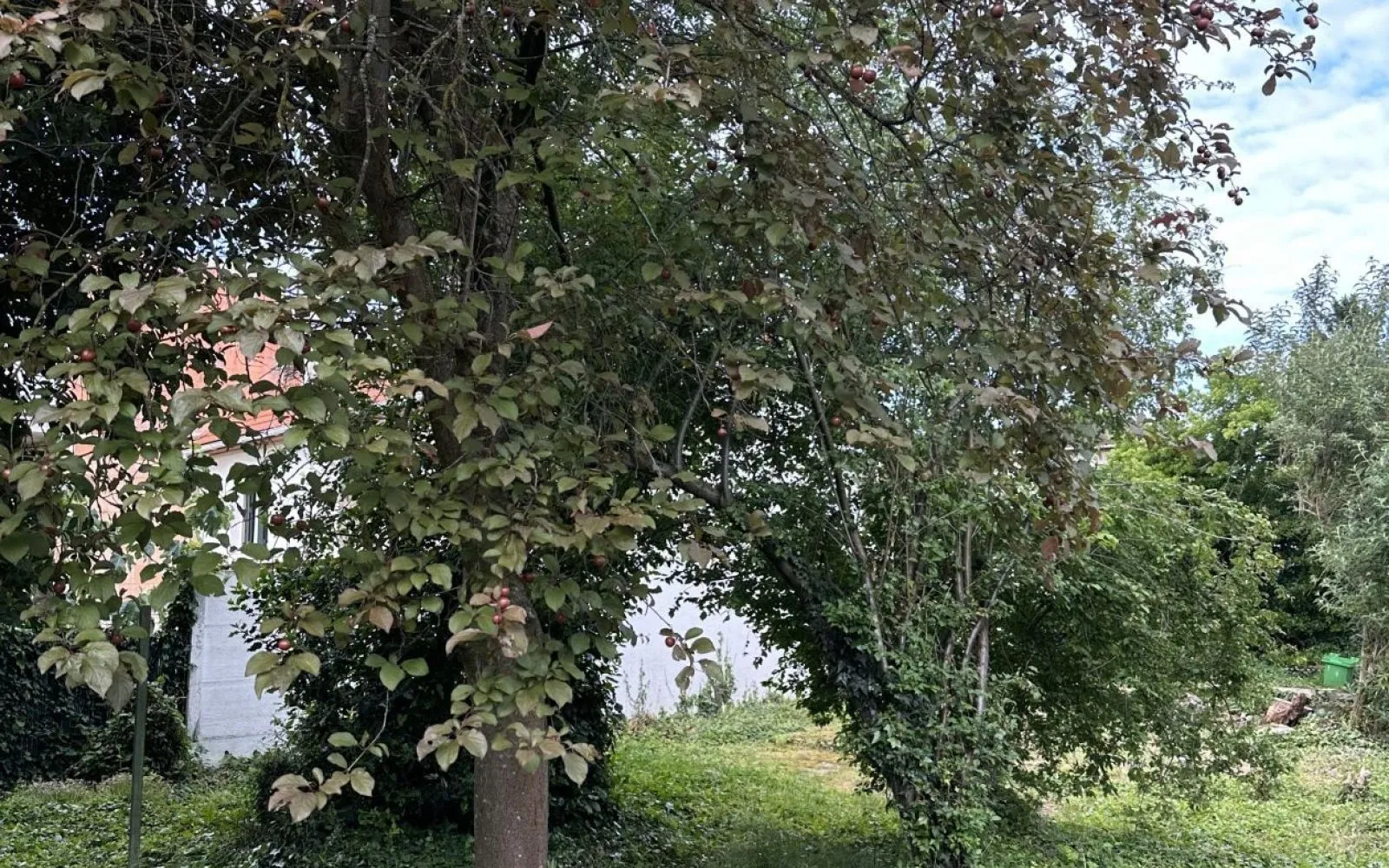 Projet de construction d'une maison 95 m² avec terrain à NOISY-LE-GRAND (93) à Noisy-le-Grand — photo 10