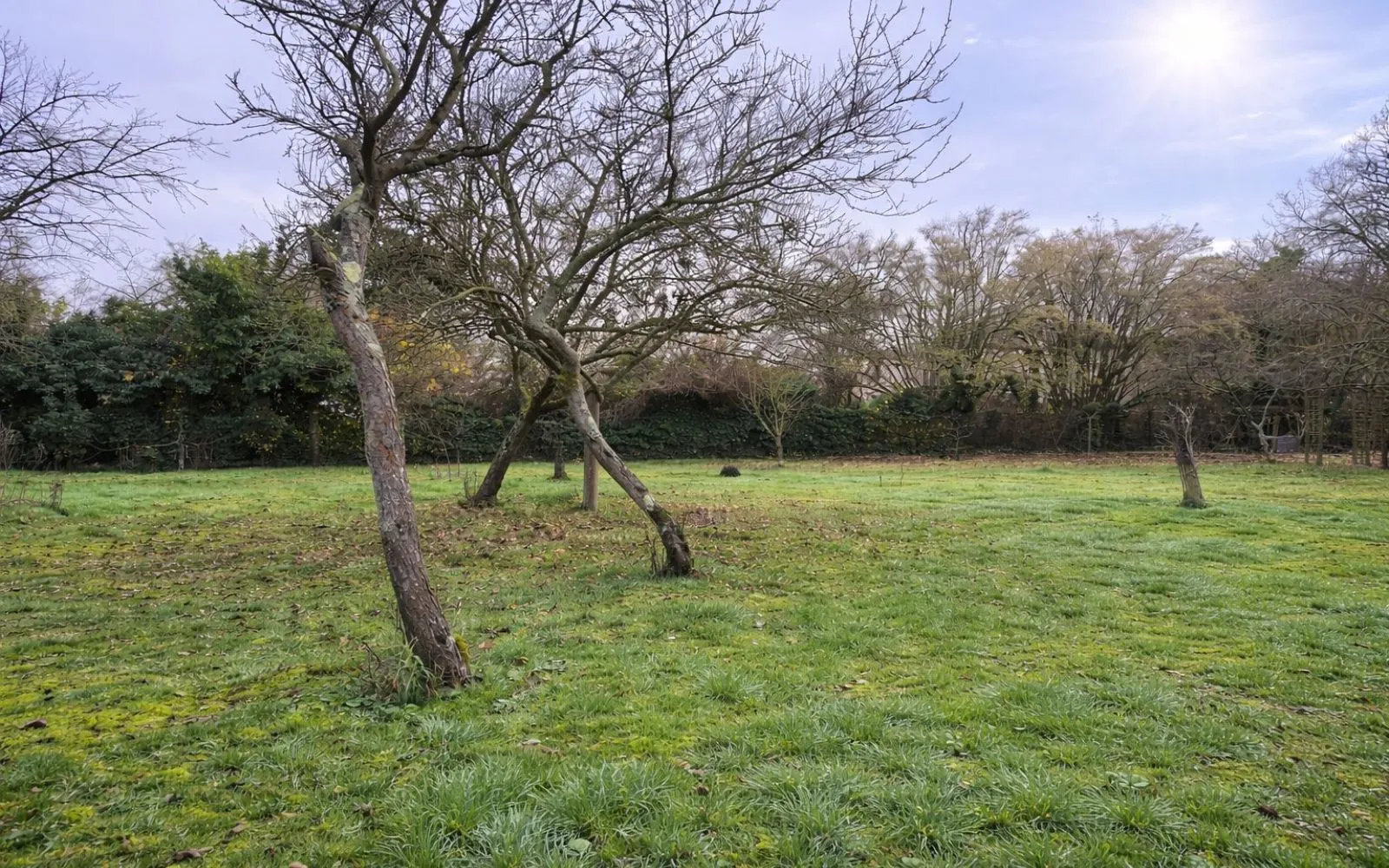 Projet de construction d'une maison 101 m² avec terrain à DRAVEIL (91) à Draveil — photo 4