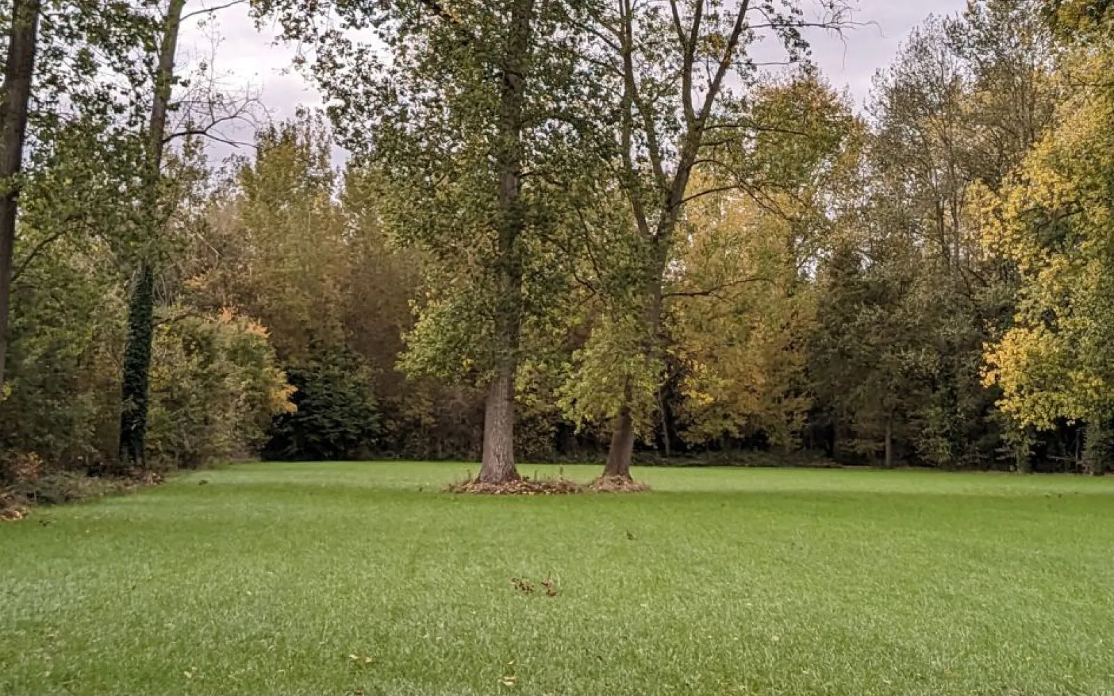 Projet de construction d'une maison 87 m² avec terrain à ACHERES-LA-FORET (77) à Achères-la-Forêt — photo 4