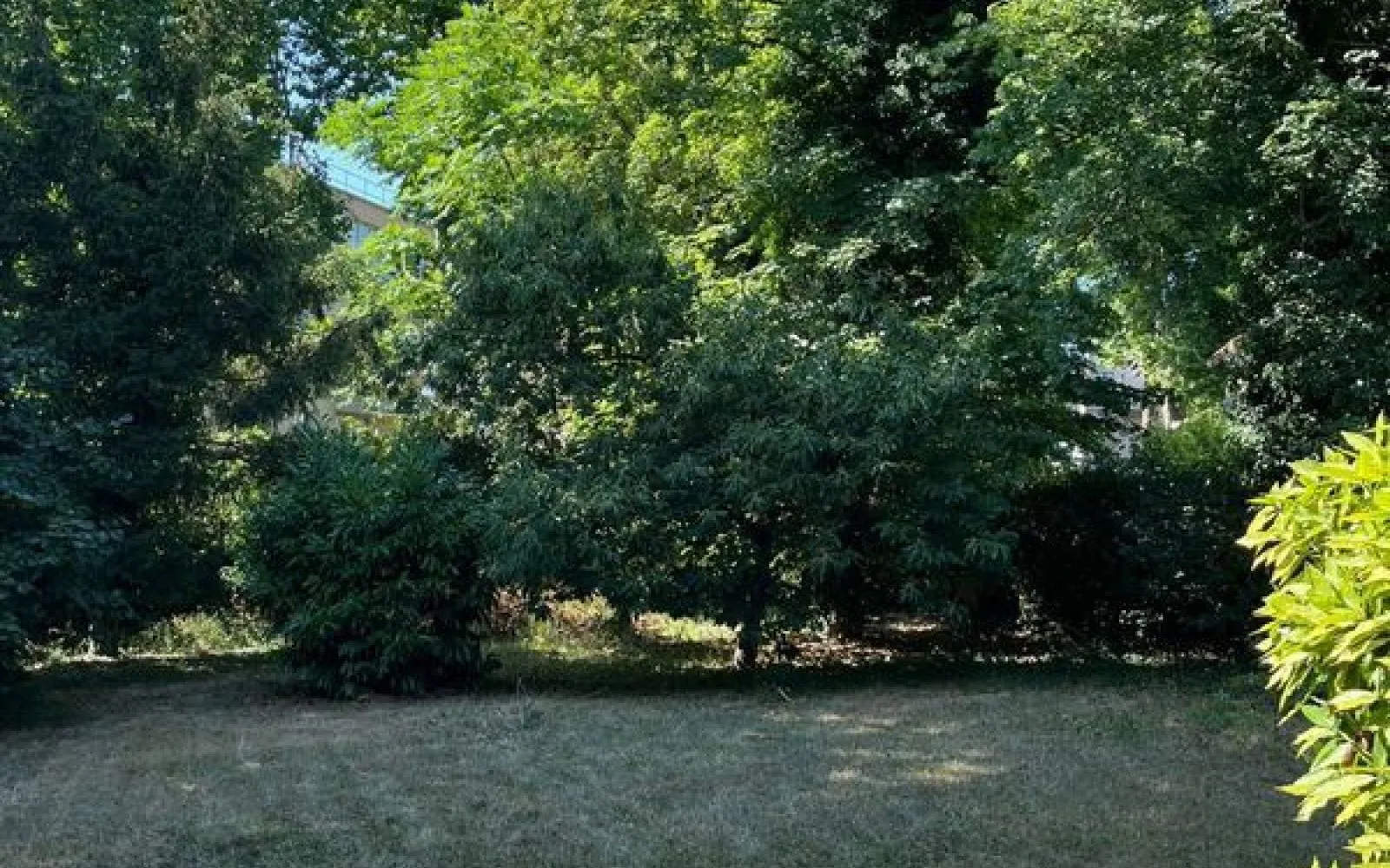 Projet de construction d'une maison 139 m² avec terrain à DRAVEIL (91) à Draveil — photo 4