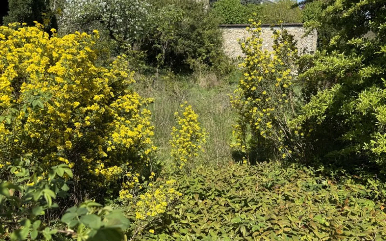 Terrain à bâtir de 355 m² à ORLY (94) à Orly — photo 2
