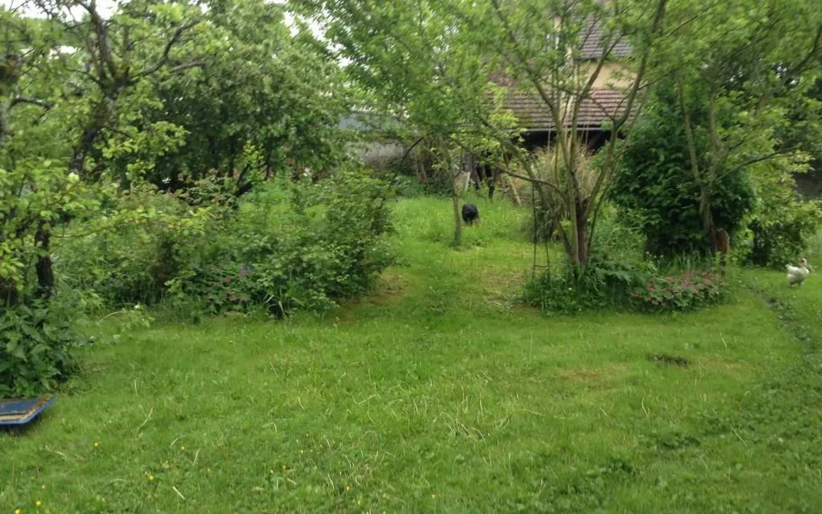 Projet de construction d'une maison 101 m² avec terrain à BEAUMONT-SUR-OISE (95) à Beaumont-sur-Oise — photo 6