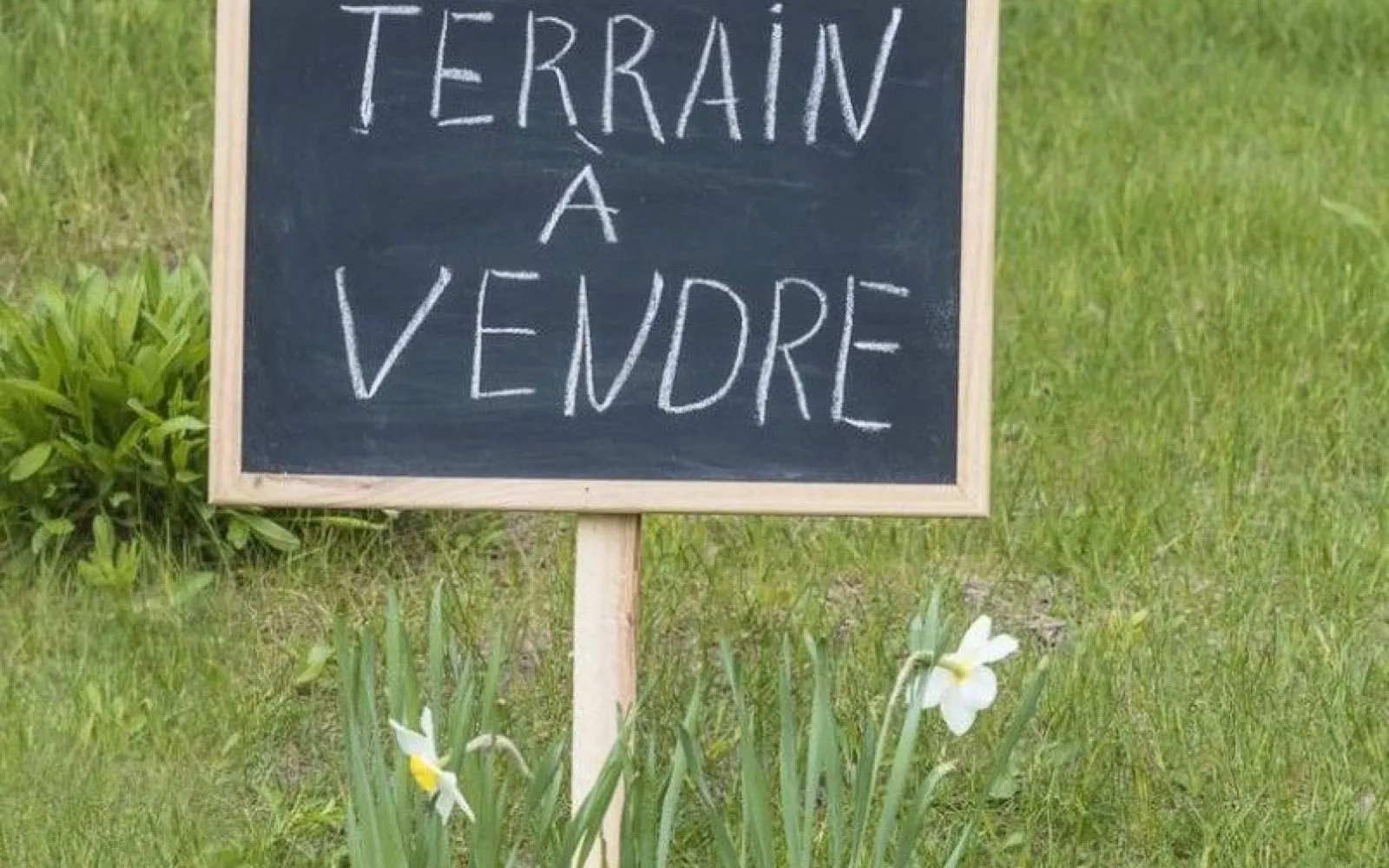 Terrain à bâtir de 511 m² à SAINT-CYR-SOUS-DOURDAN (91) à Saint-Cyr-sous-Dourdan — photo 1