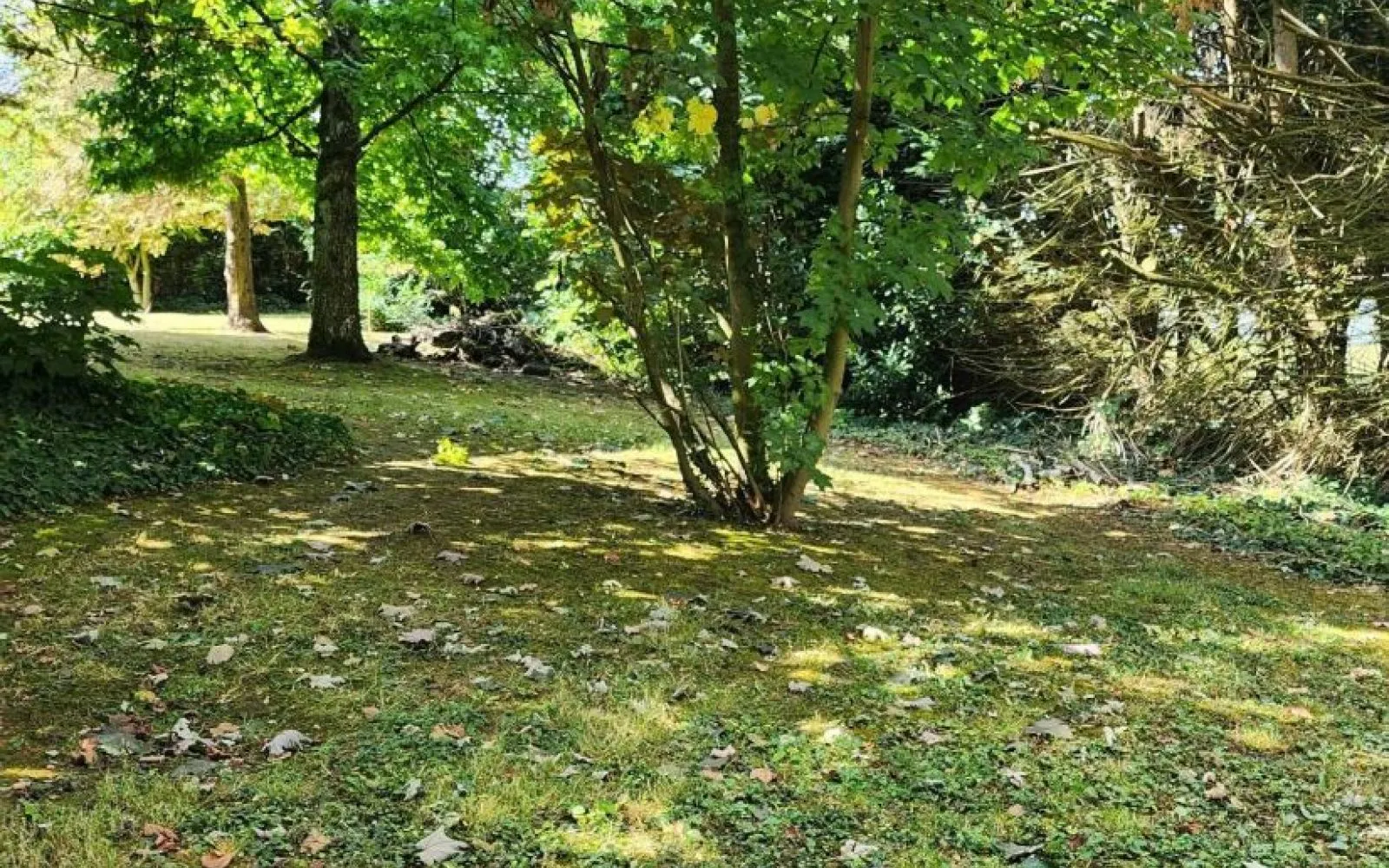 Terrain à bâtir de 614 m² à MANDRES-LES-ROSES (94) à Mandres-les-Roses — photo 2