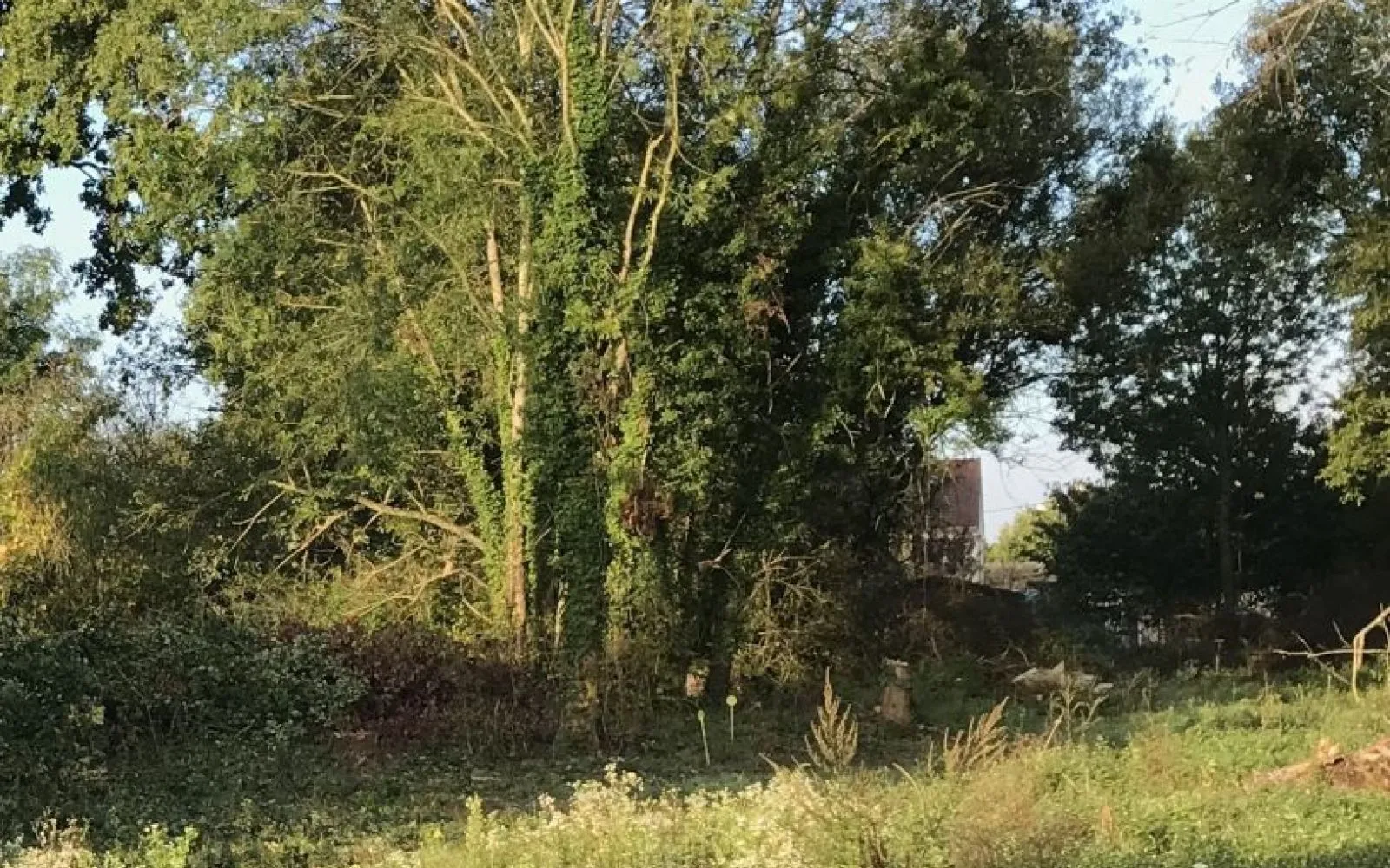 Projet de construction d'une maison 108 m² avec terrain à NEUILLY-PLAISANCE (93) à Neuilly-Plaisance — photo 4