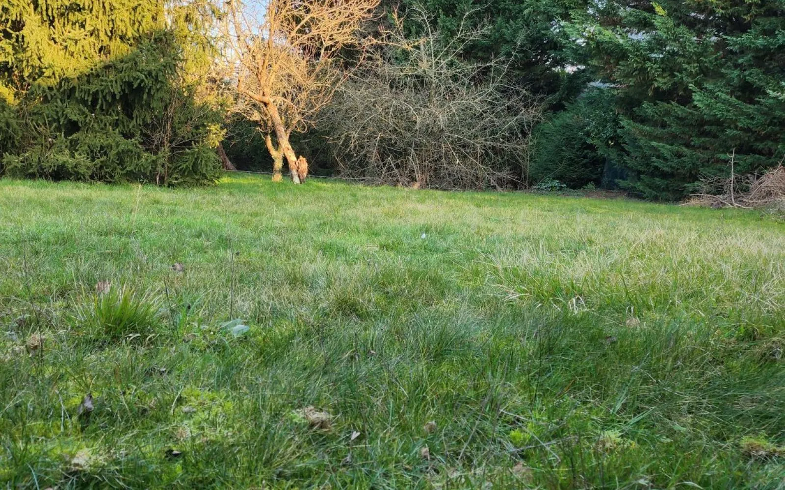 Projet de construction d'une maison 88 m² avec terrain à GIREMOUTIERS (77) à Giremoutiers — photo 4