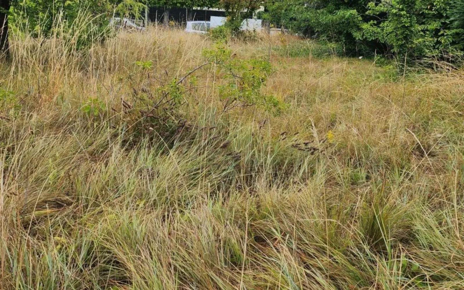 Projet de construction d'une maison 87 m² avec terrain à CHAMPIGNY-SUR-MARNE (94) à Champigny-sur-Marne — photo 4