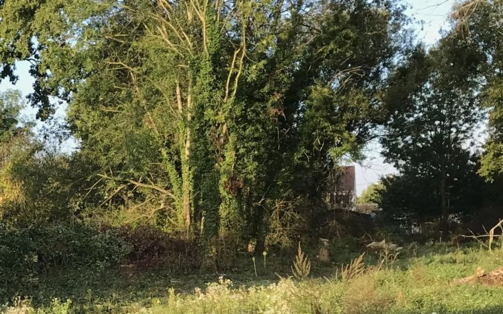 Projet de construction d'une maison 102 m² avec terrain à COMBS-LA-VILLE (77) à Combs-la-Ville — photo 4
