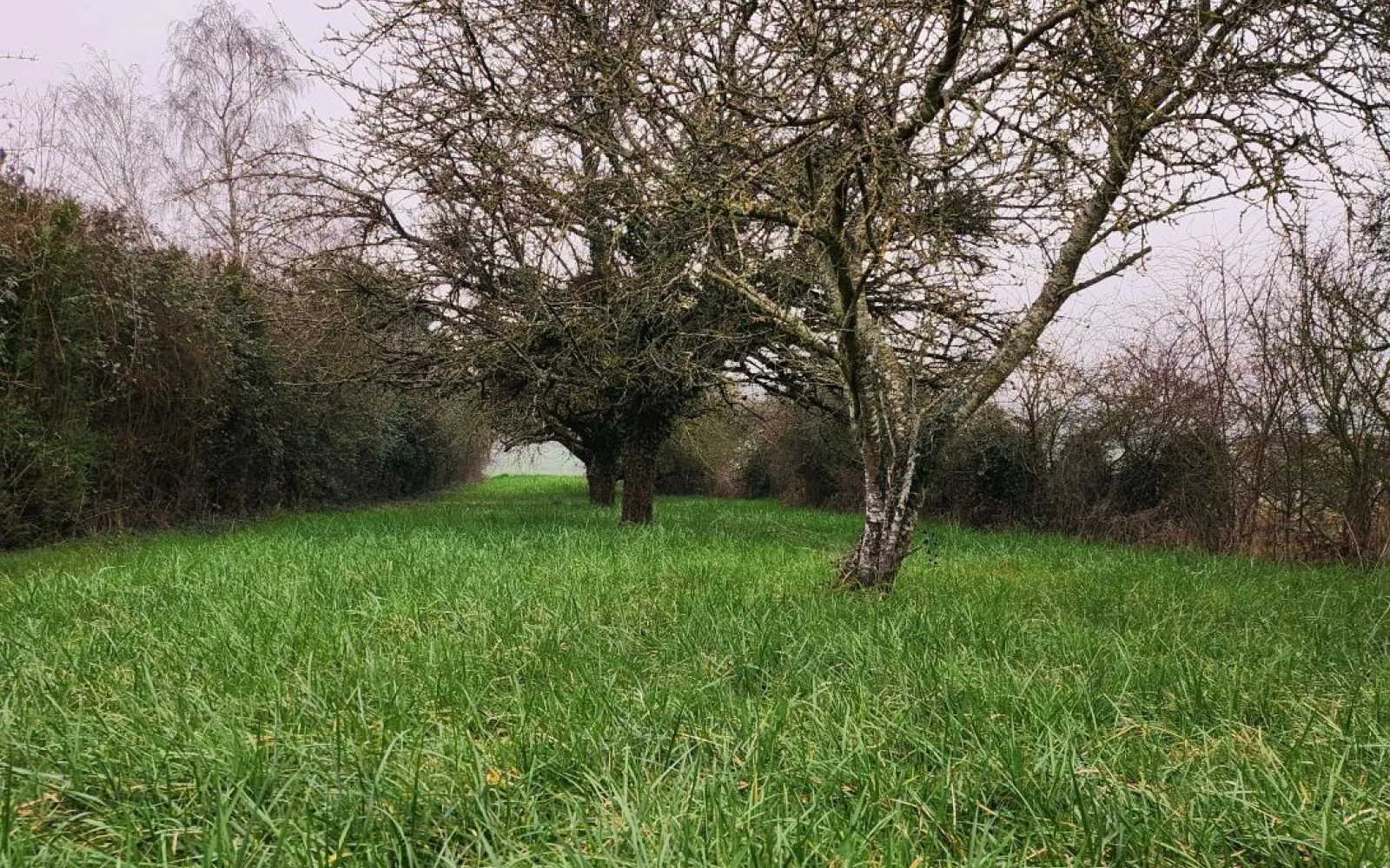Projet de construction d'une maison 110 m² avec terrain à SAINT-PIERRE-DU-PERRAY (91) à Saint-Pierre-du-Perray — photo 4