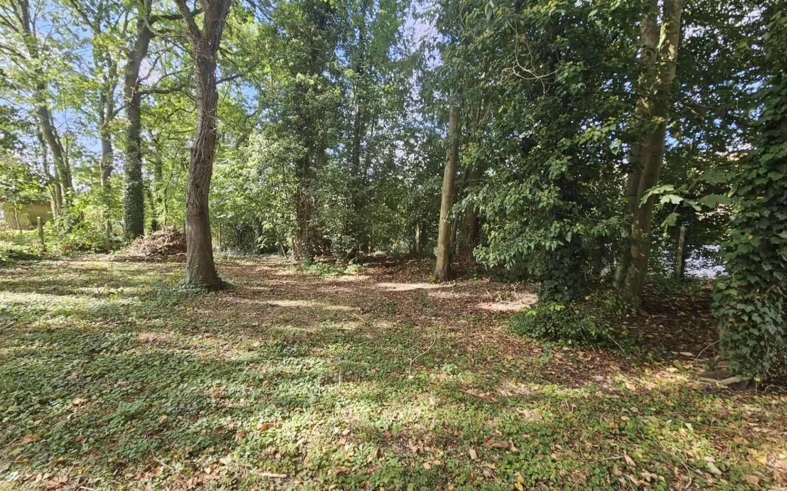 Projet de construction d'une maison 49 m² avec terrain à LA FERTE-GAUCHER (77) à La Ferté-Gaucher — photo 3