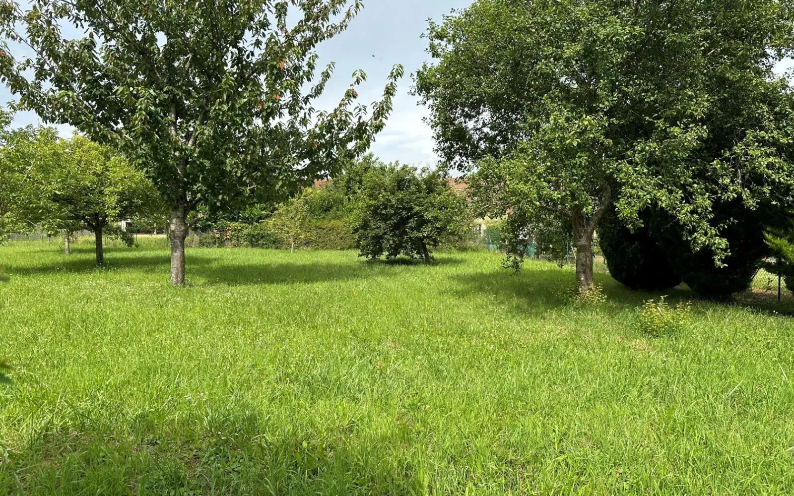 Projet de construction d'une maison 49 m² avec terrain à MONTCEAUX-LES-PROVINS (77) à Montceaux-lès-Provins — photo 3