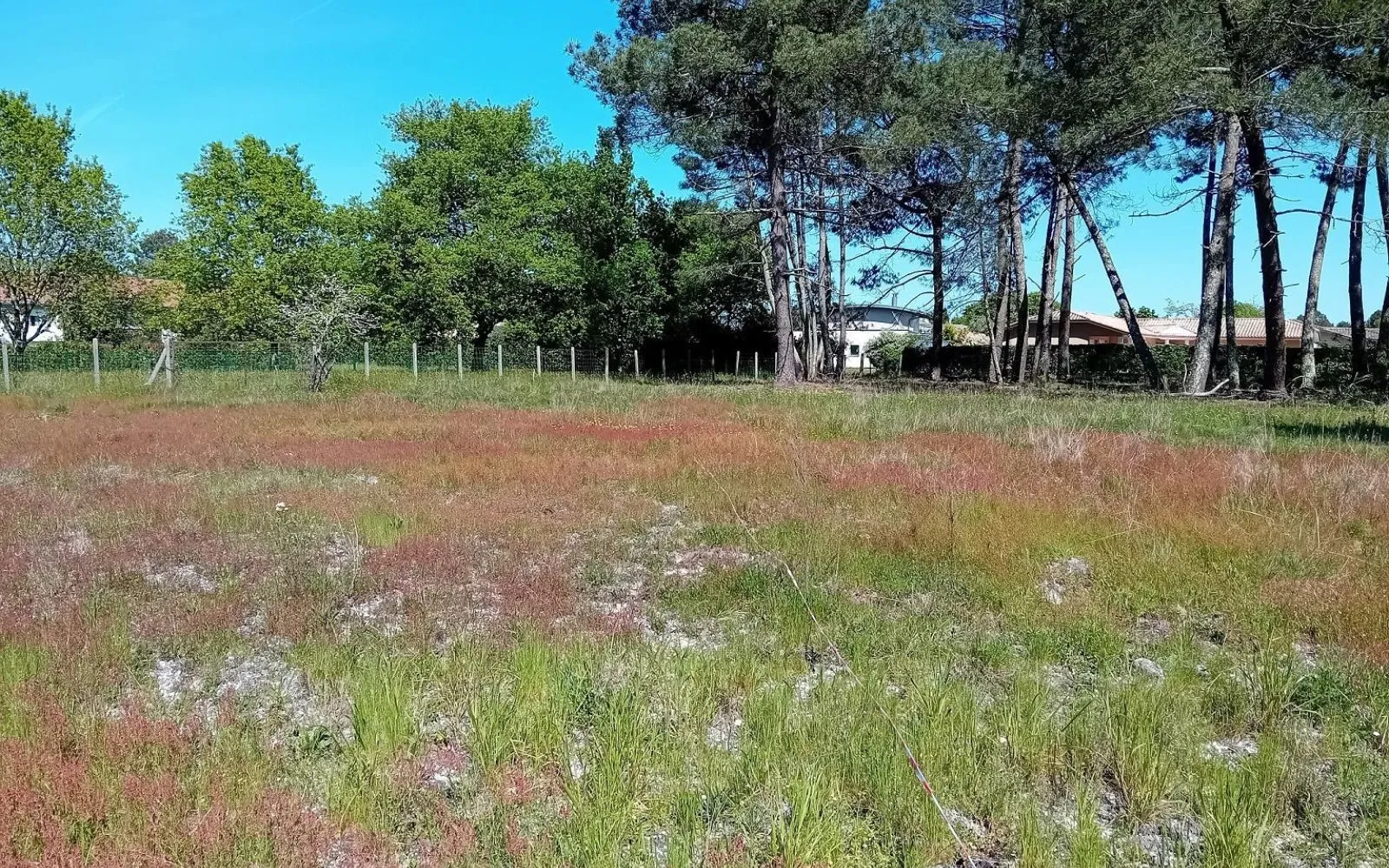 Terrain à bâtir de 555 m² à SAINT-AUBIN-DE-MEDOC (33) à Saint-Aubin-de-Médoc — photo 1