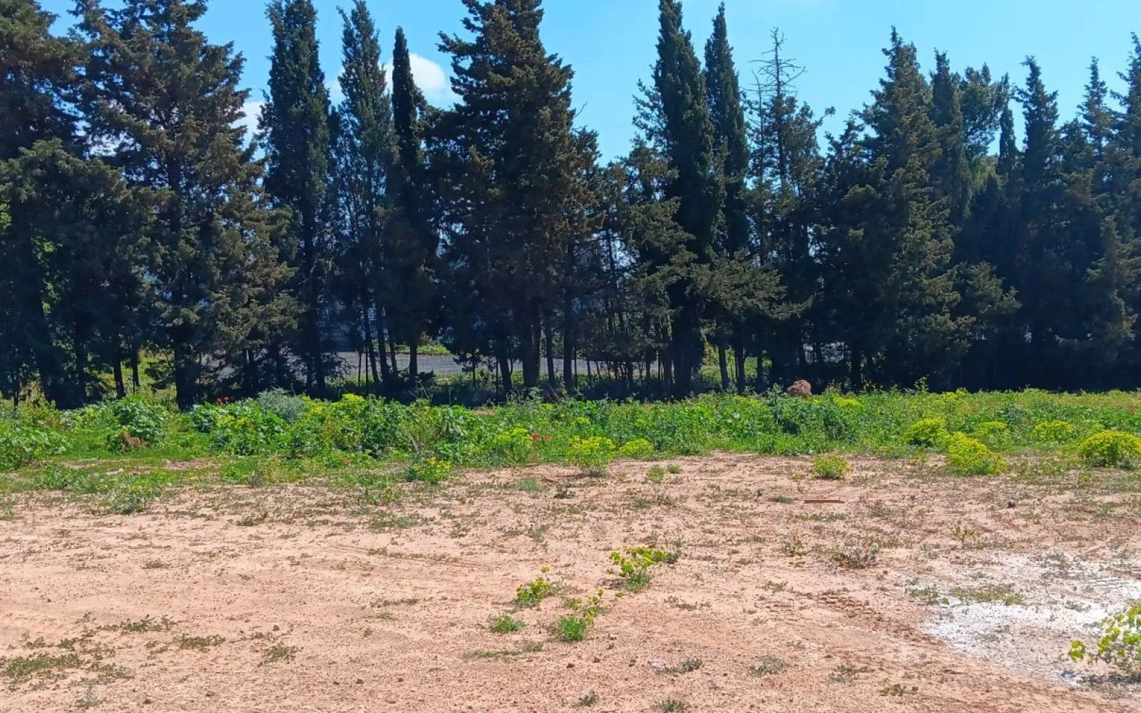 Projet de construction d'une maison 81 m² avec terrain à NARBONNE (11) à Narbonne — photo 5