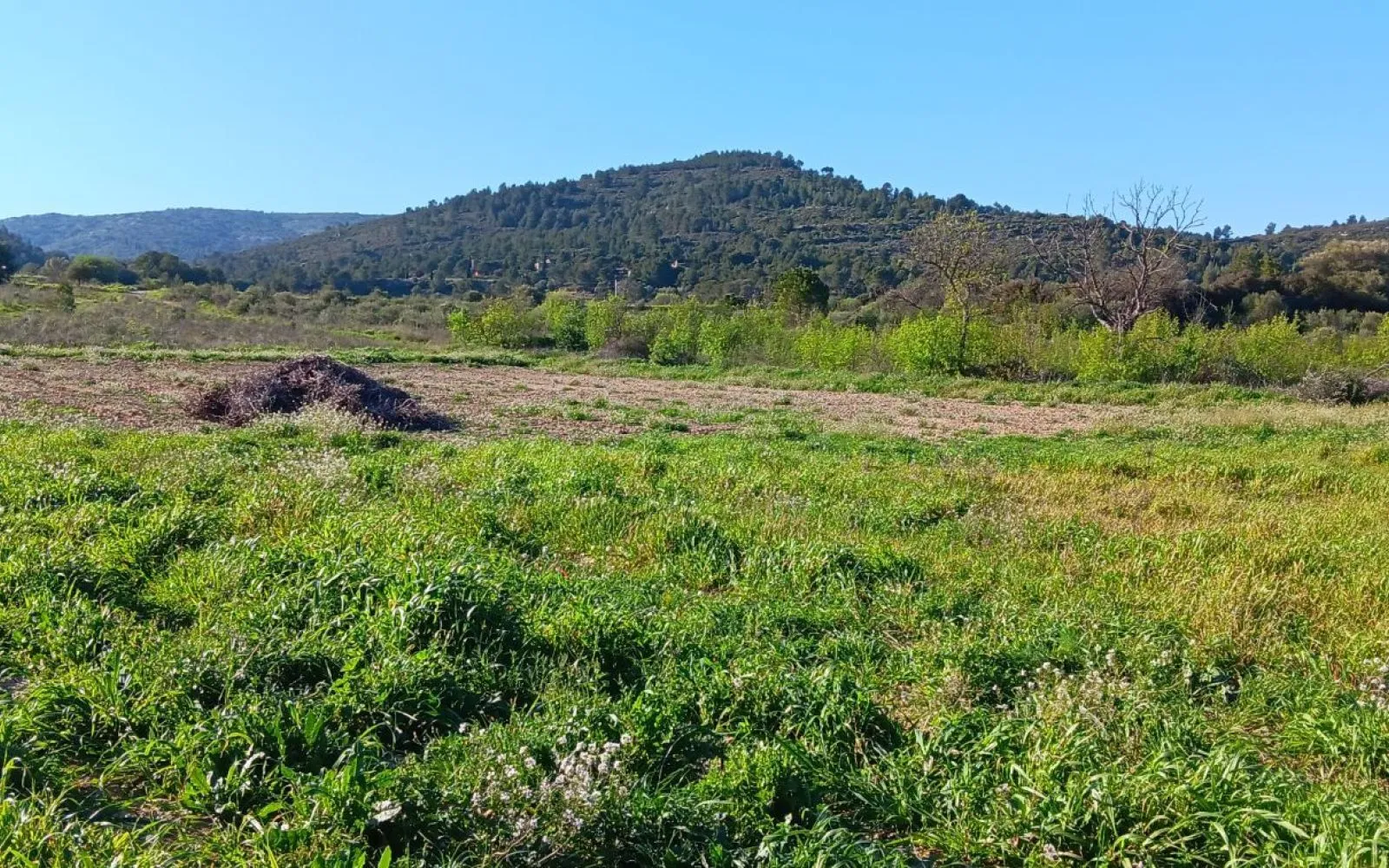 Projet de construction d'une maison 90 m² avec terrain à PORTEL-DES-CORBIERES (11) à Portel-des-Corbières — photo 7