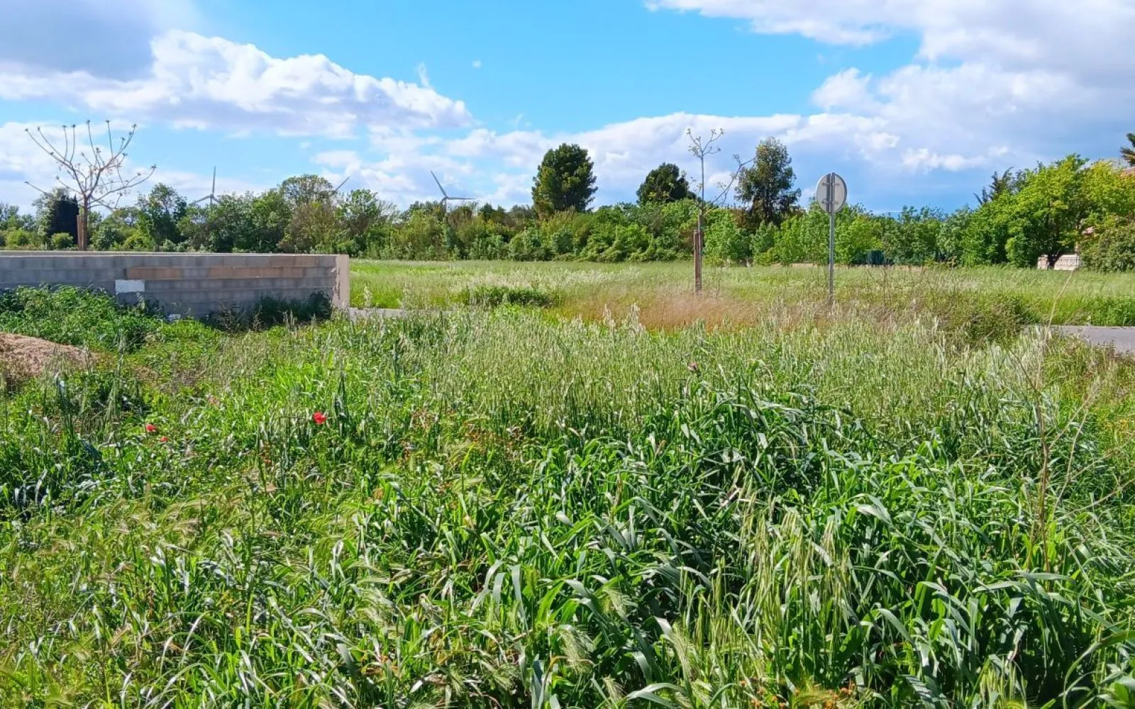 Projet de construction d'une maison 81 m² avec terrain à CANET (11) à Canet — photo 6